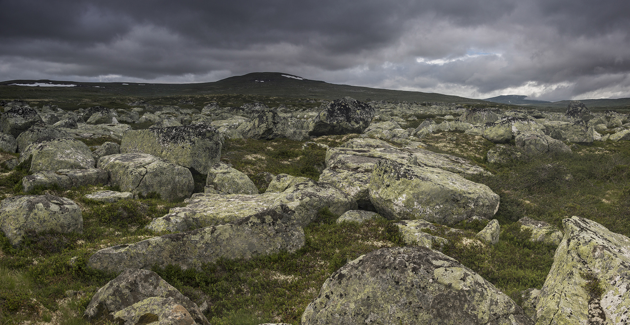 Sony SLT-A65 (SLT-A65V) sample photo. Hardangervidda photography