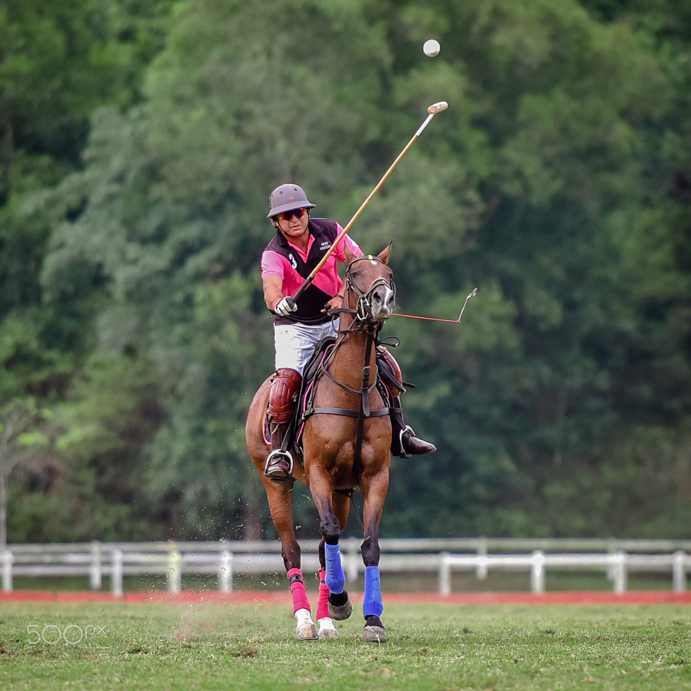 Nikon D810A sample photo. Malaysia open polo tournament 2016 photography