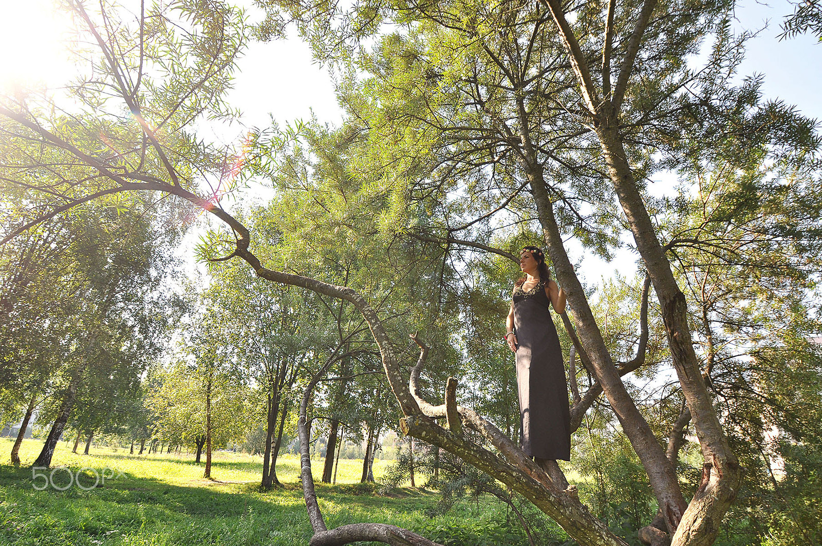 Nikon D5000 sample photo. Forest fairy 3 photography