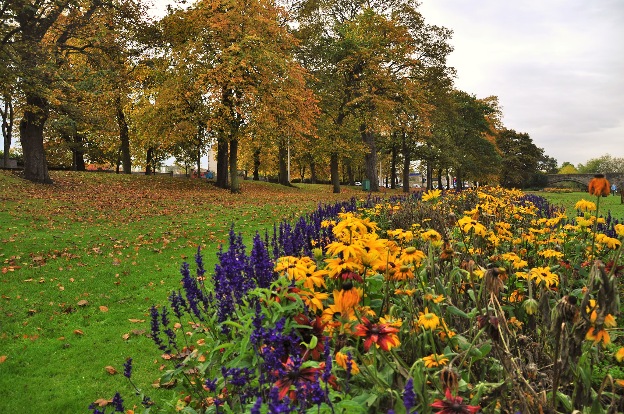 Nikon D90 + Sigma 18-200mm F3.5-6.3 DC sample photo. Hello autumn photography