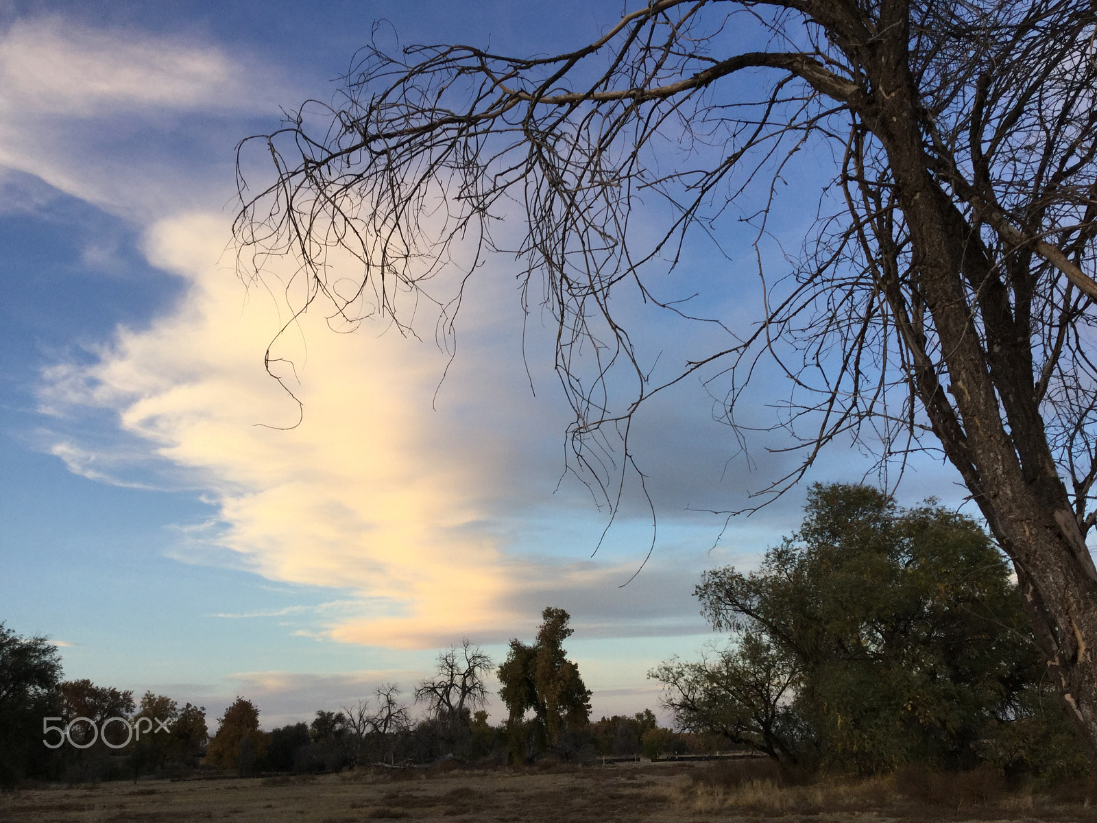 Apple iPad5,3 sample photo. Beautiful sky in thornton, colorado. photography