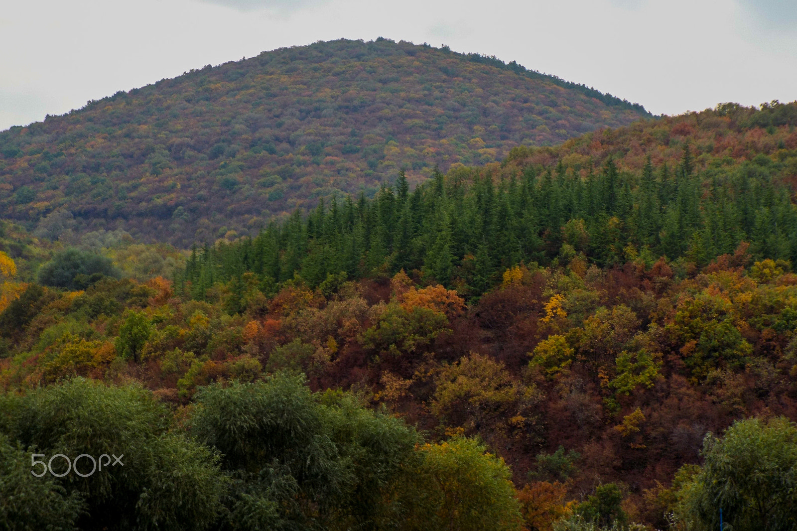 Fujifilm FinePix S8300 sample photo. Fall photography