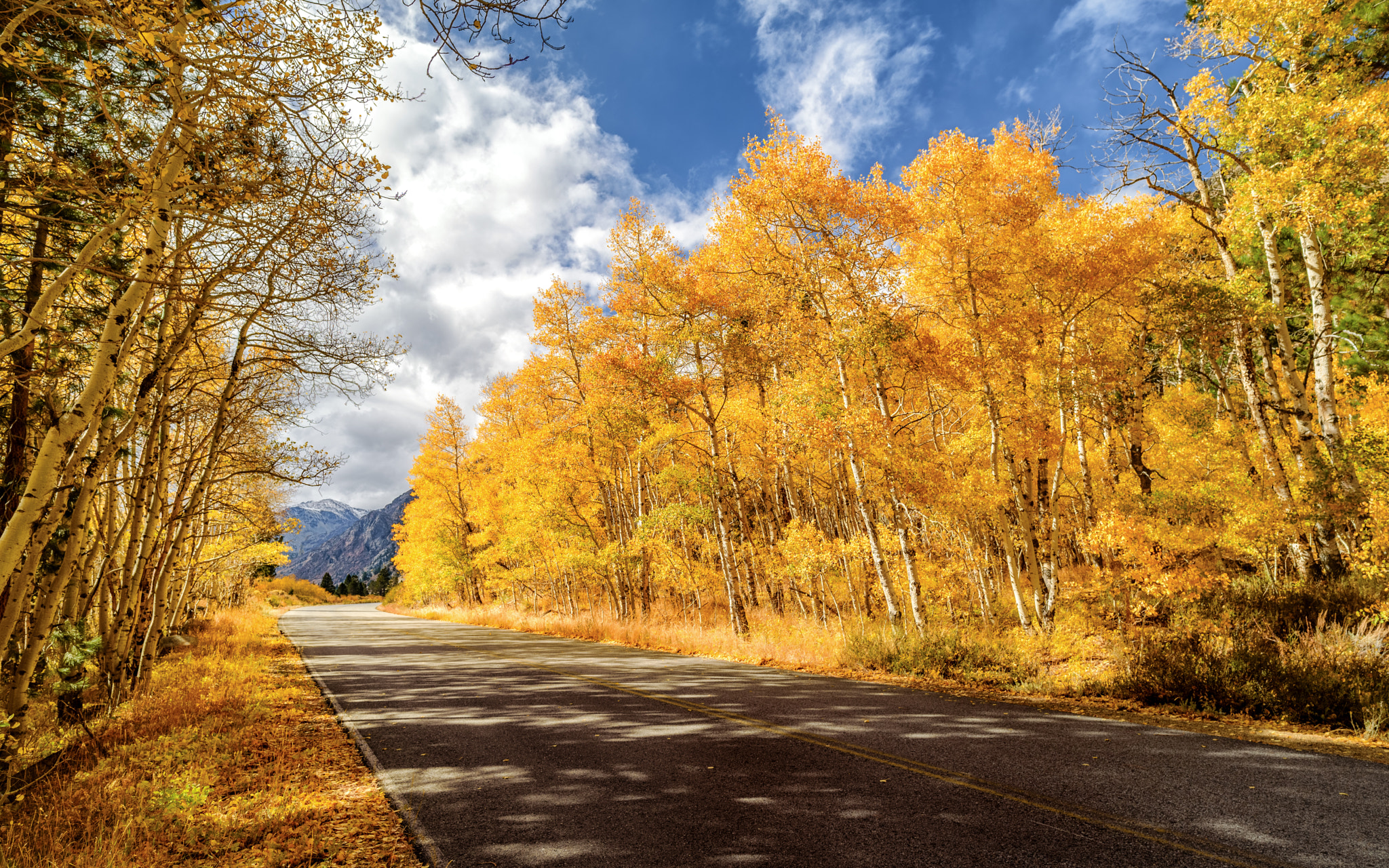 Nikon D750 + ZEISS Milvus 21mm F2.8 sample photo. Color of autumn at lundy canyon photography