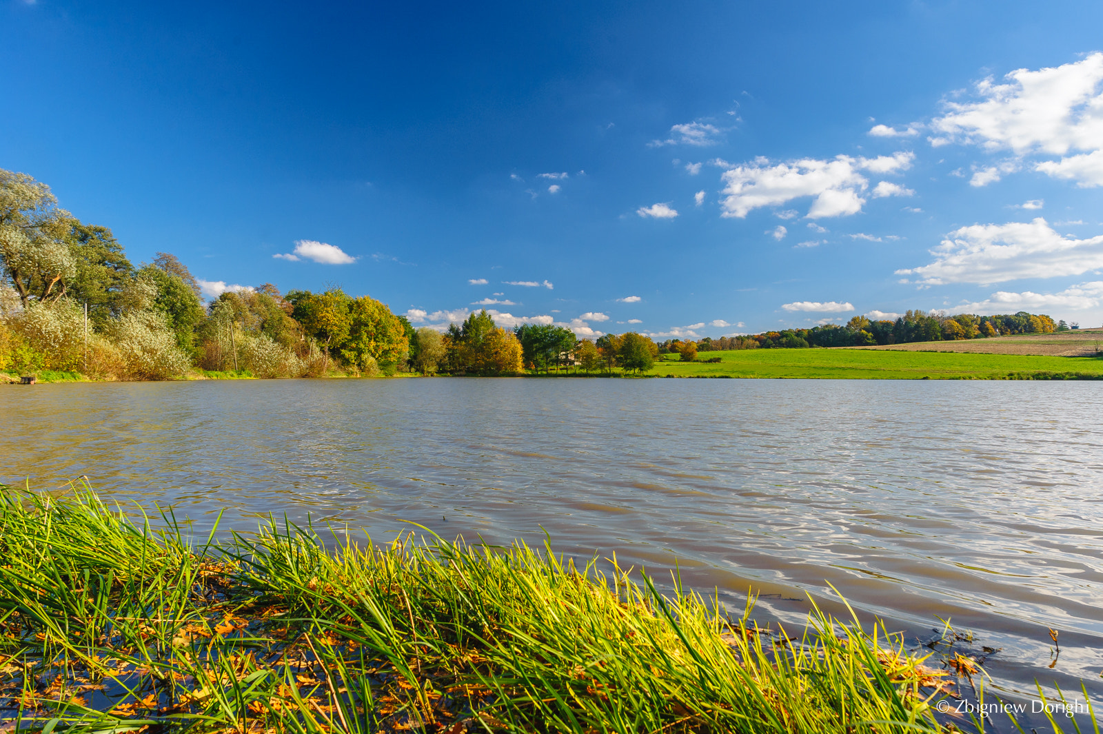 Nikon D700 + Sigma 24mm F1.8 EX DG Aspherical Macro sample photo. Autumn at lake photography