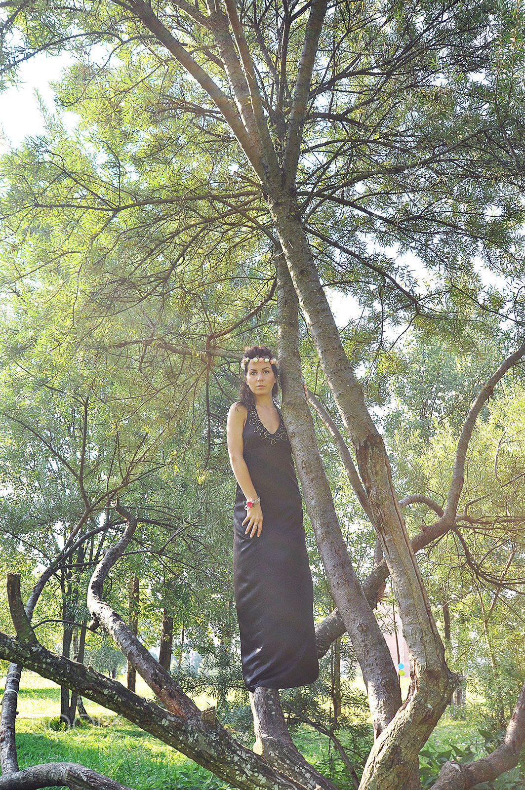 Nikon D5000 sample photo. Forest fairy 8 photography