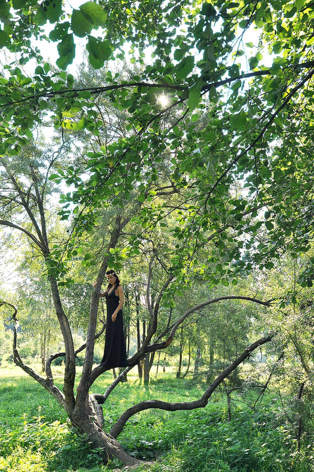 Nikon D5000 sample photo. Forest fairy 9 photography