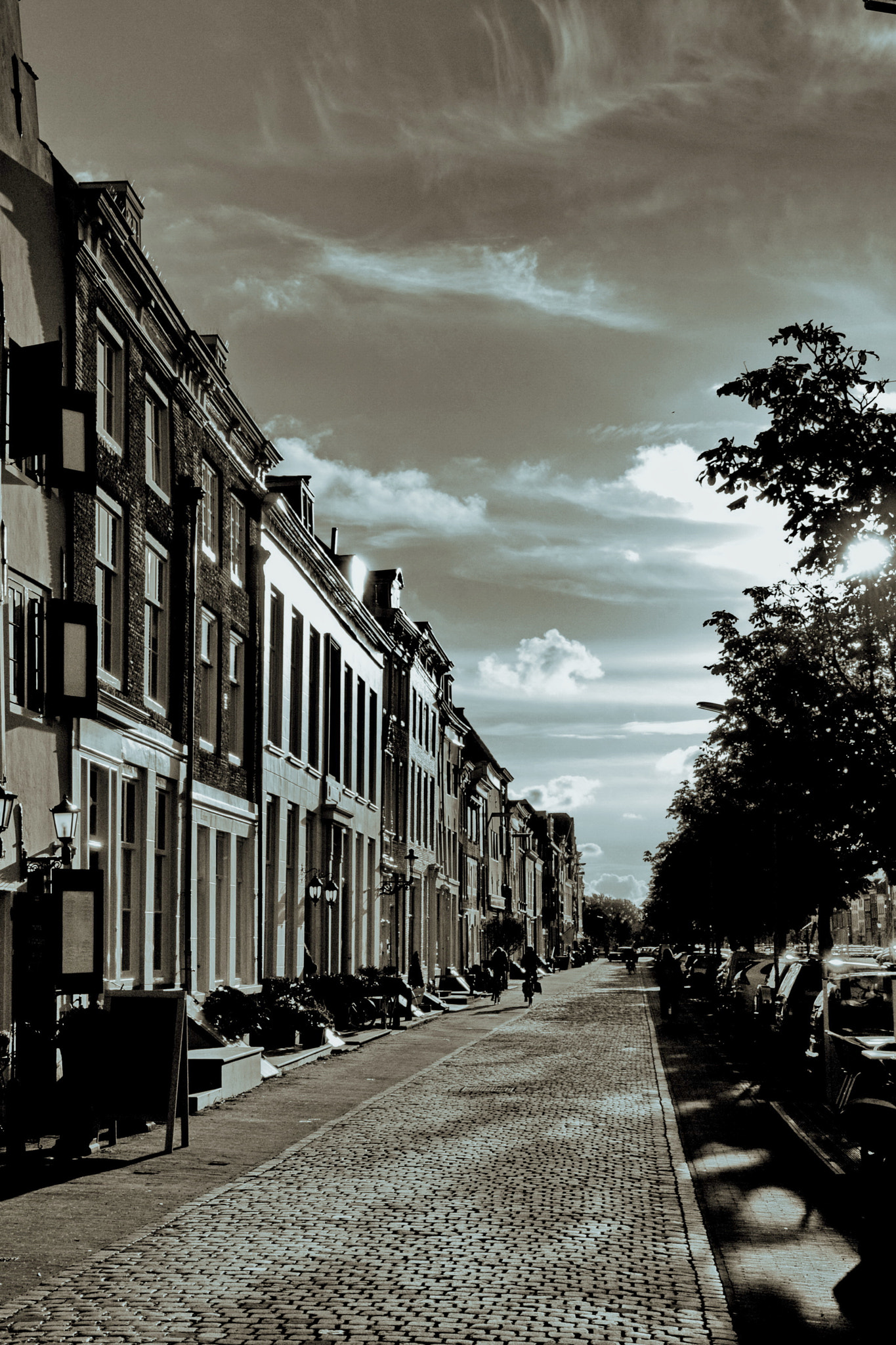Nikon D300 sample photo. Zeeland photography