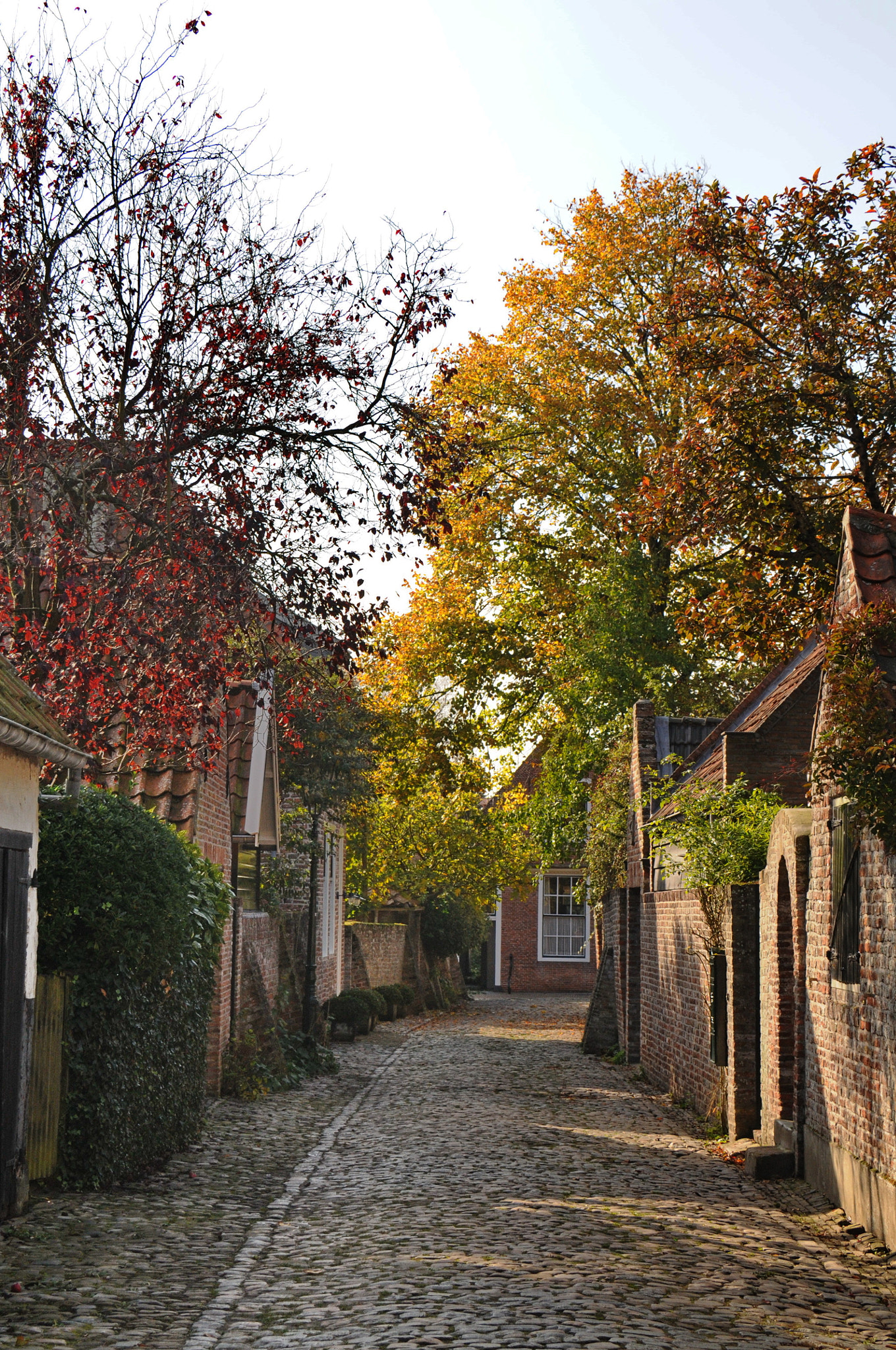 Nikon D300 sample photo. Zeeland photography