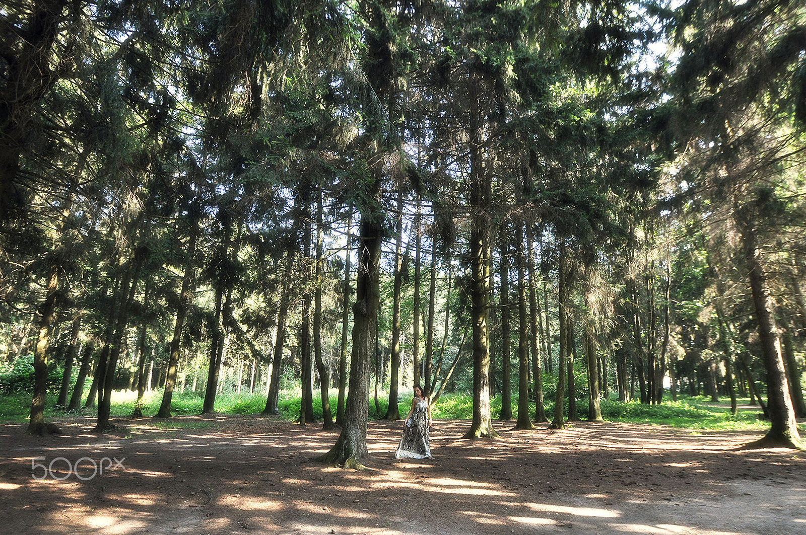 Nikon D5000 sample photo. Forest fairy 10 photography
