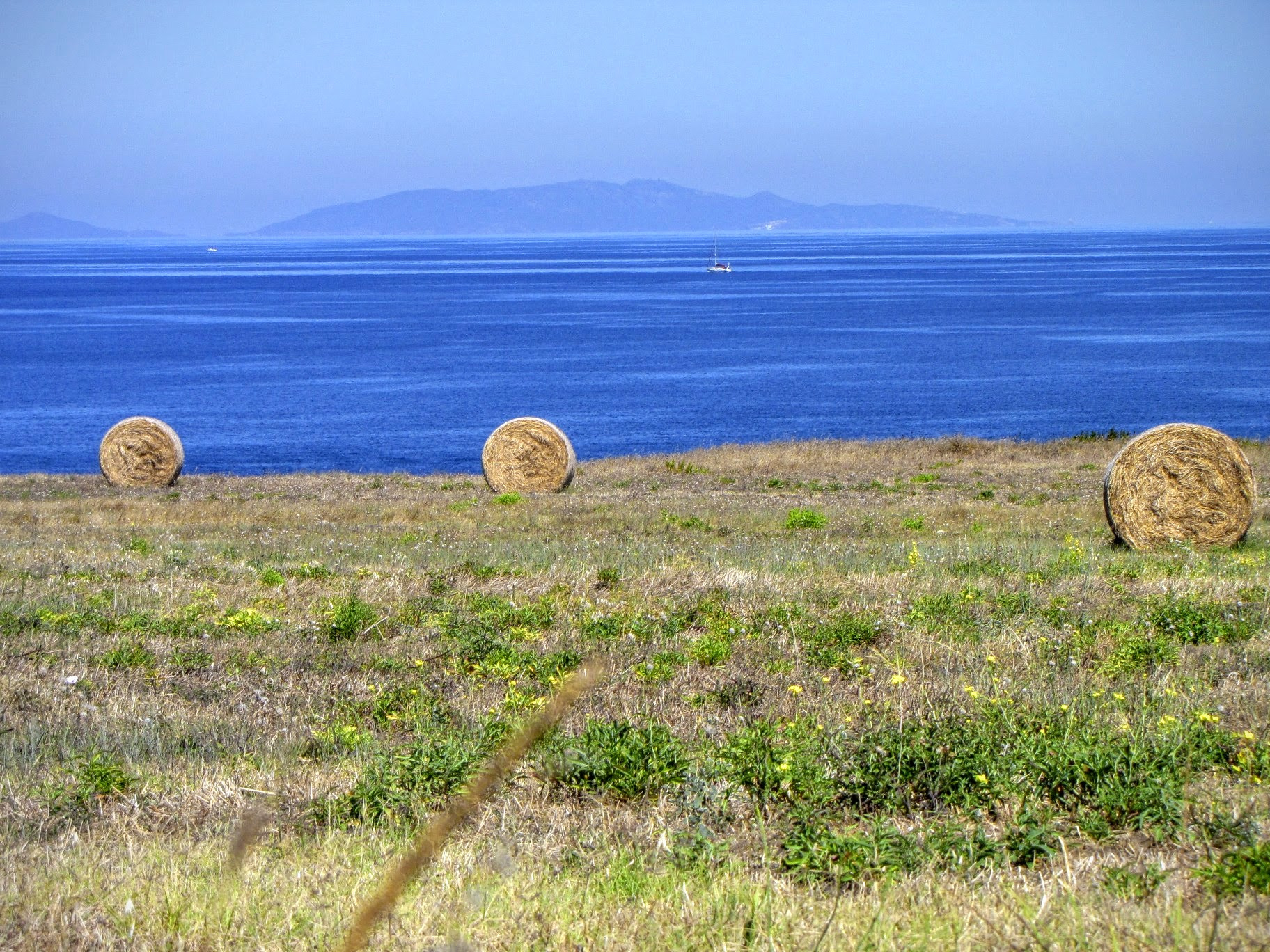 Canon PowerShot SX1 IS sample photo. Land and sea photography