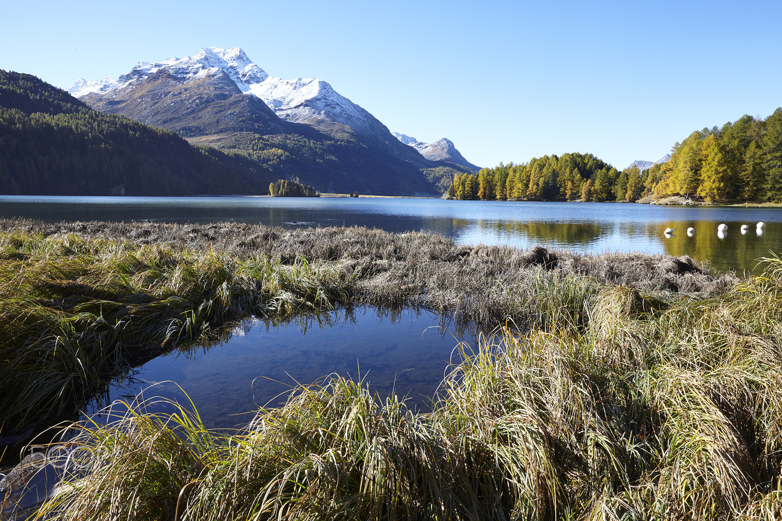Canon EF 16-35mm F2.8L II USM sample photo. Lakeview photography