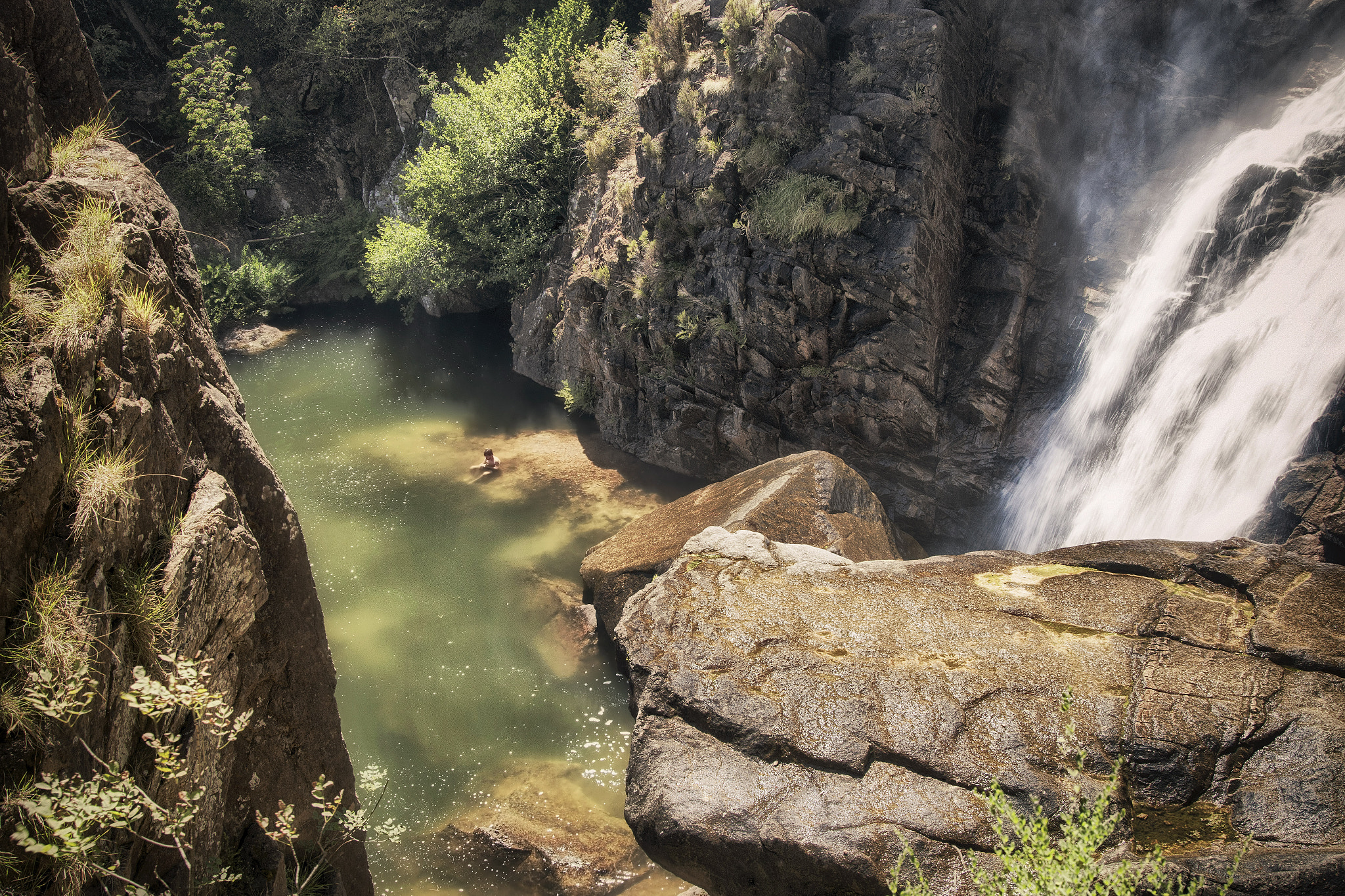 Sigma 24-105mm f/4 DG OS HSM | A sample photo. Creek swimming photography