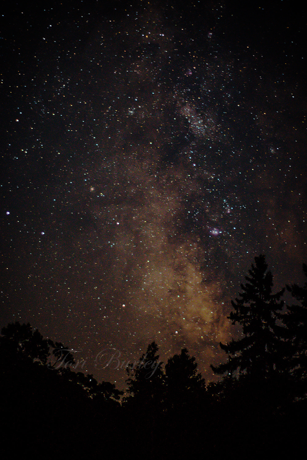Sony Alpha DSLR-A700 + Minolta AF 50mm F1.7 sample photo. Our home, our milky way photography