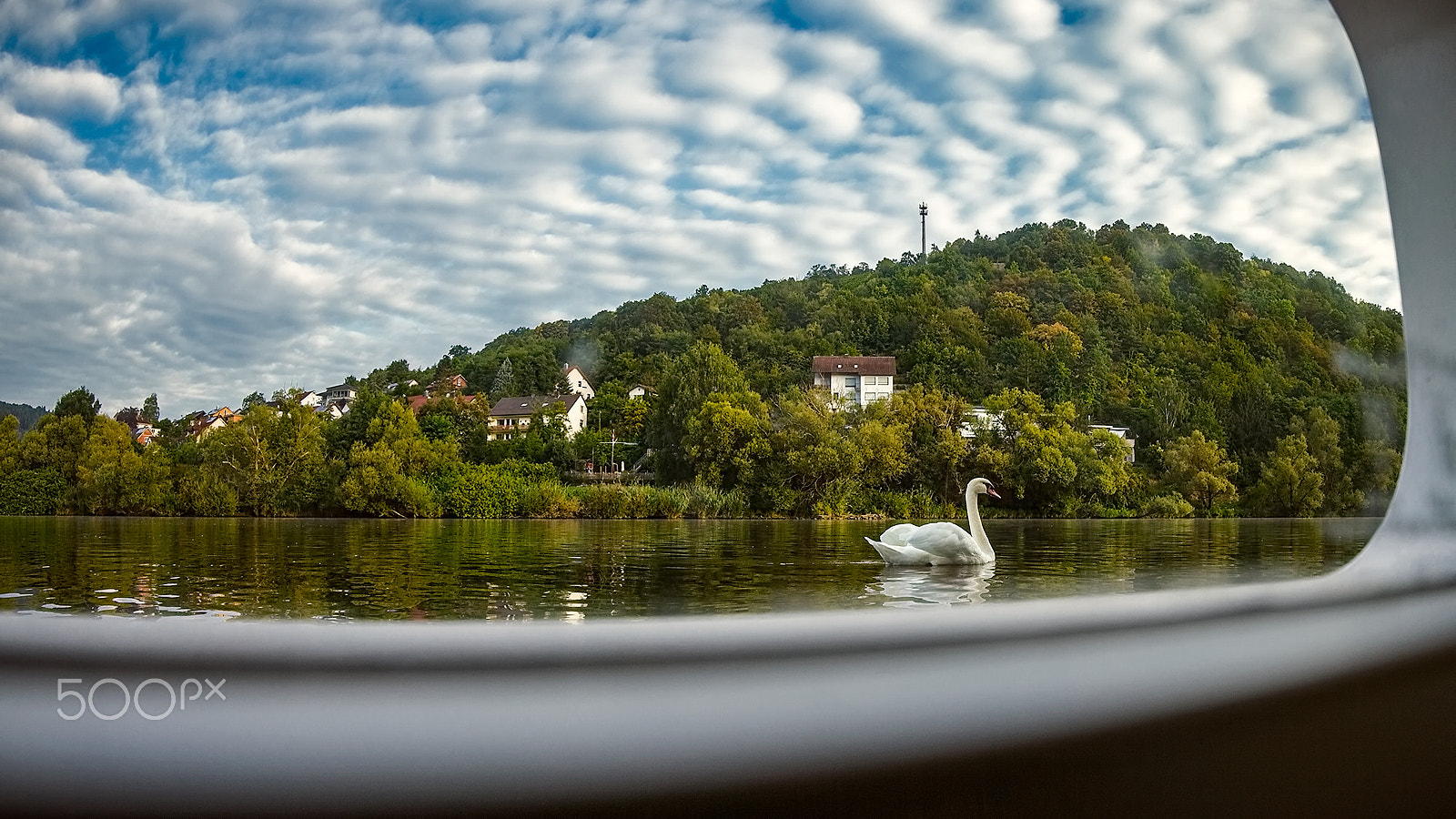 Canon EF 8-15mm F4L Fisheye USM sample photo. Wertheim swan photography