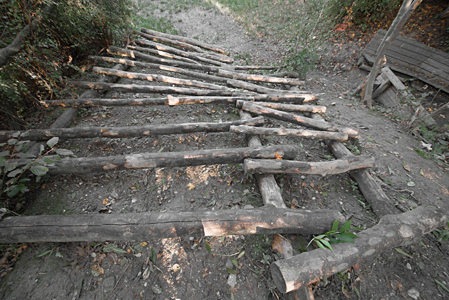 Sigma 12-24mm F4.5-5.6 II DG HSM sample photo. Woode, steps from trees photography