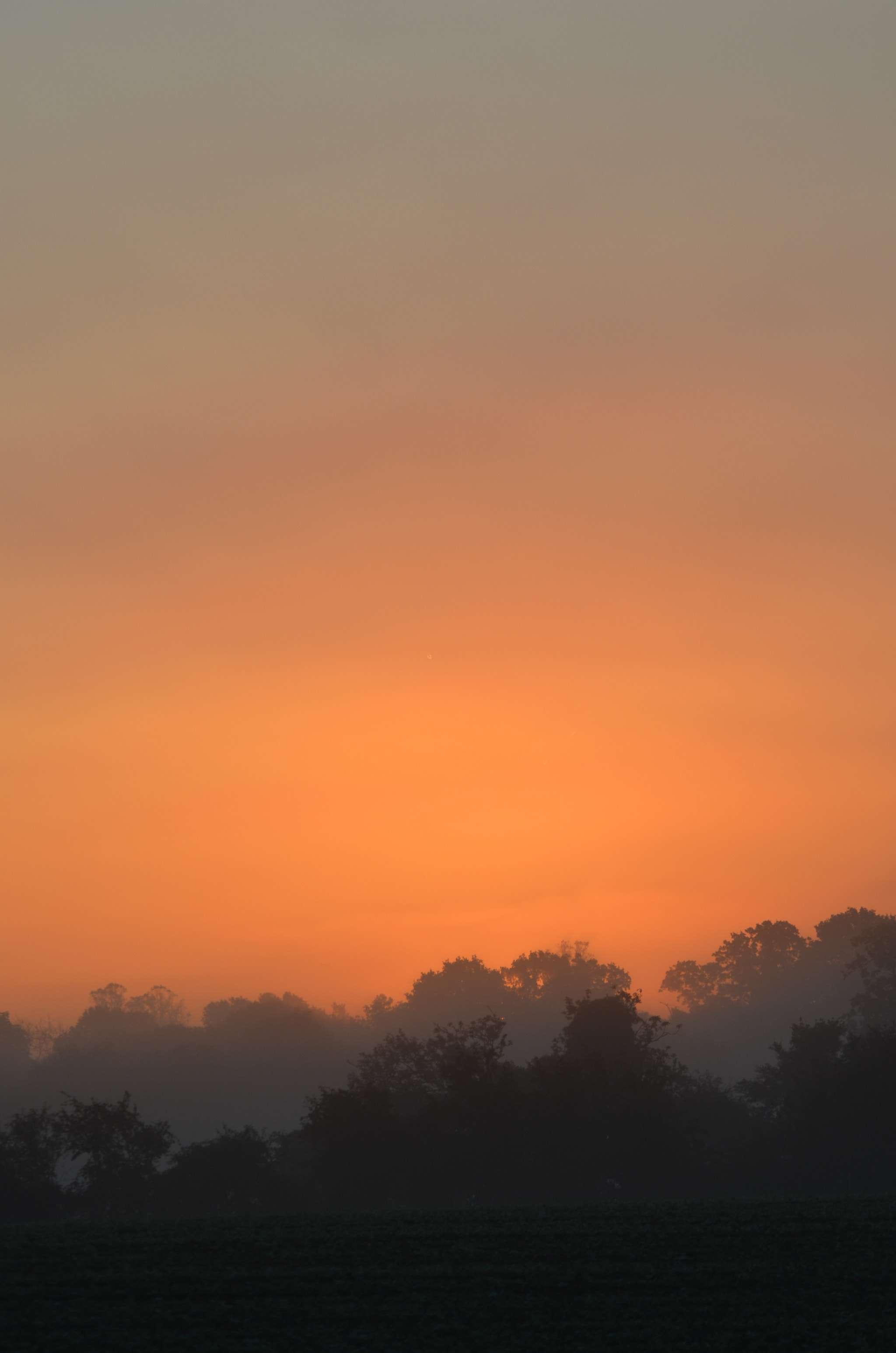 Sigma 150-500mm F5-6.3 DG OS HSM sample photo. Morning glow photography