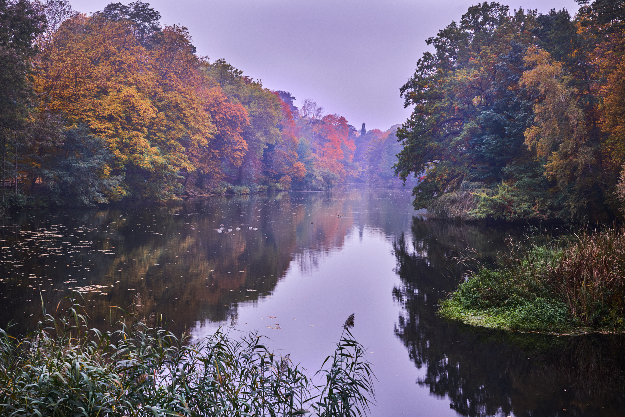 Sigma 30mm F2.8 EX DN sample photo. Hubertussee photography