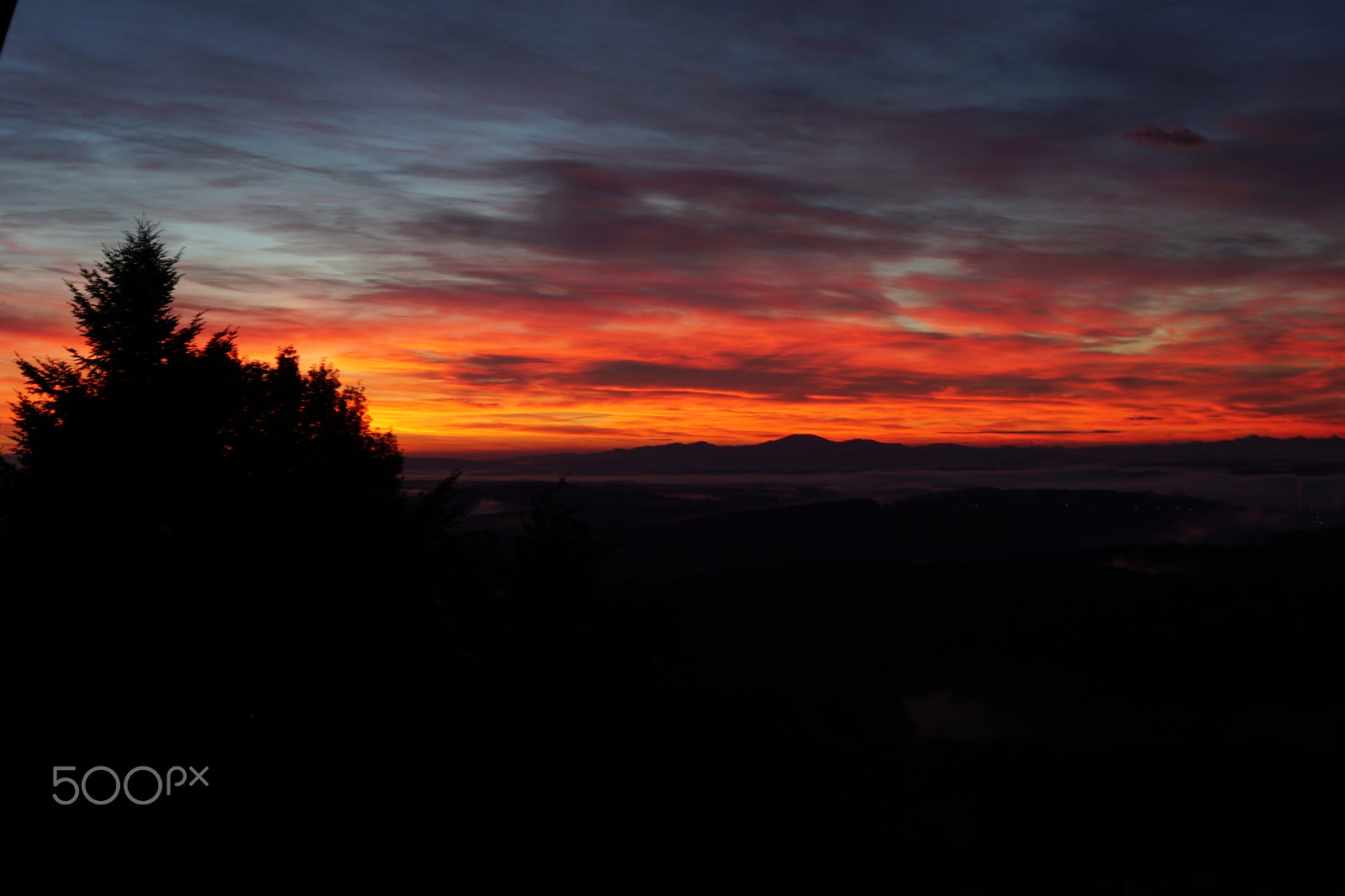 Sony a6300 + Sigma 30mm F1.4 DC DN | C sample photo. Sunrise in styria photography