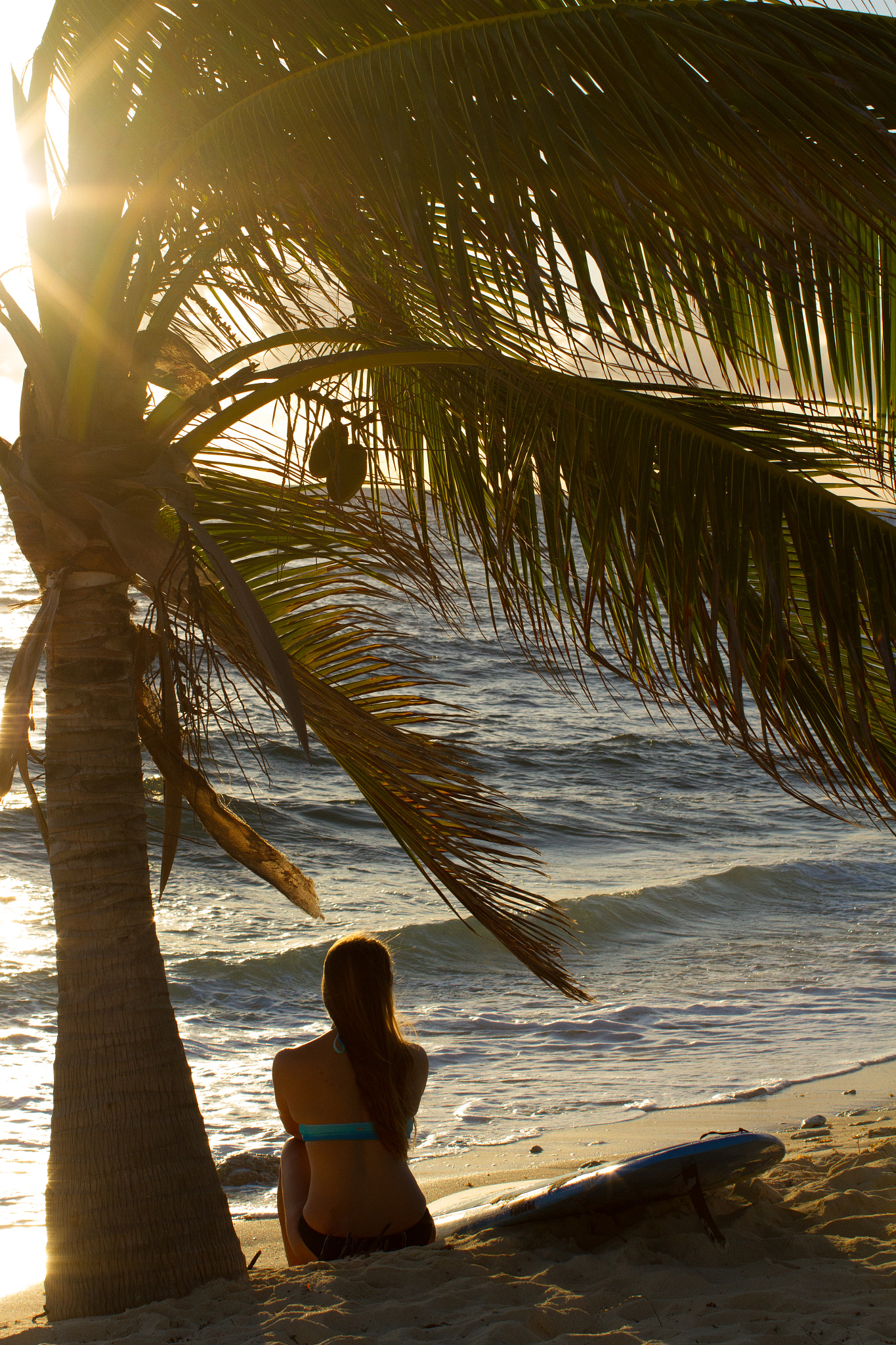 Canon EOS 7D + Canon EF 50mm F1.2L USM sample photo. Surfer under tree photography