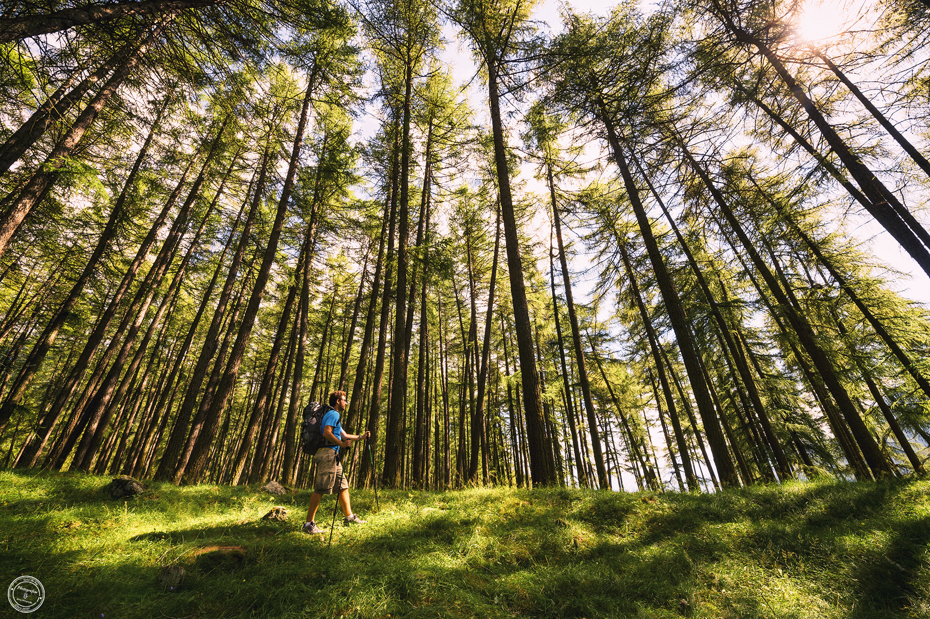 Nikon D4S sample photo. Walking into the forest photography