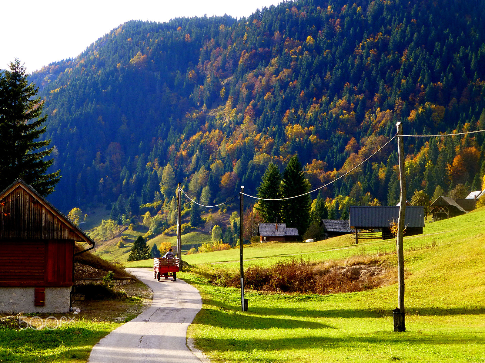 Panasonic DMC-TZ31 sample photo. Mountain pokljuka in october photography