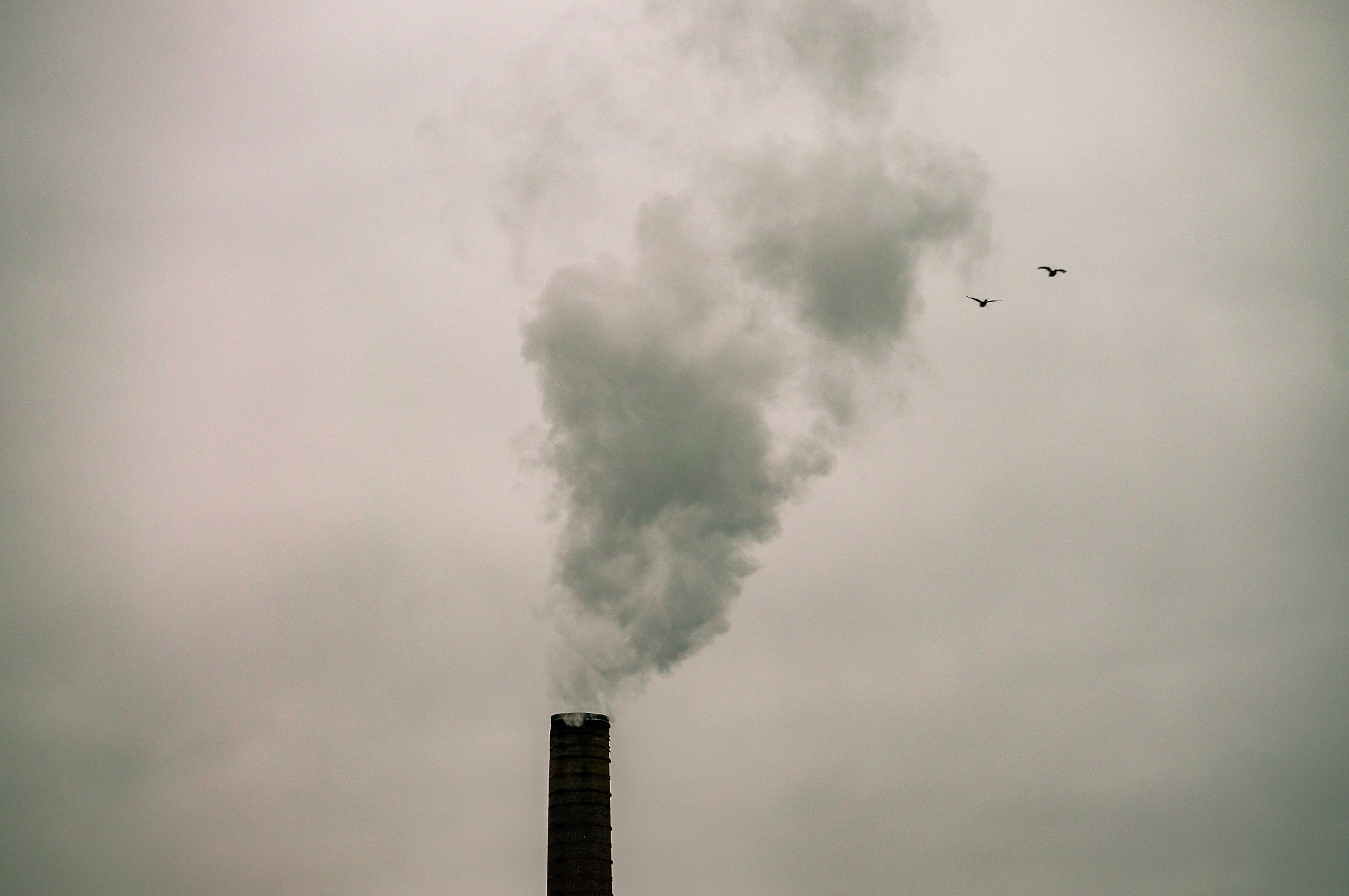 Sony Alpha NEX-6 + Sony E 55-210mm F4.5-6.3 OSS sample photo. 141/365: flying in the smoke photography