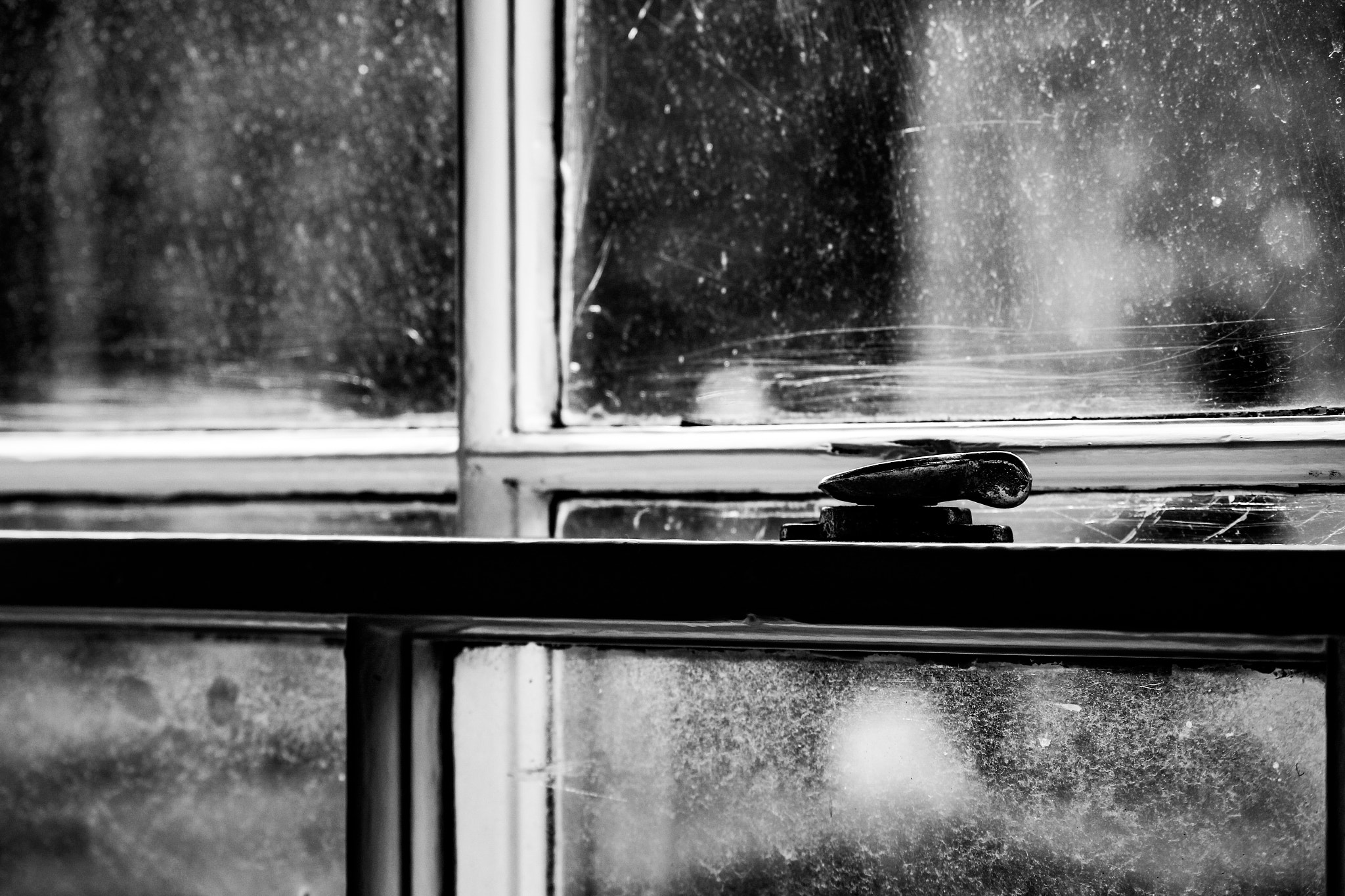 Canon EF-S 55-250mm F4-5.6 IS sample photo. The frosted window photography