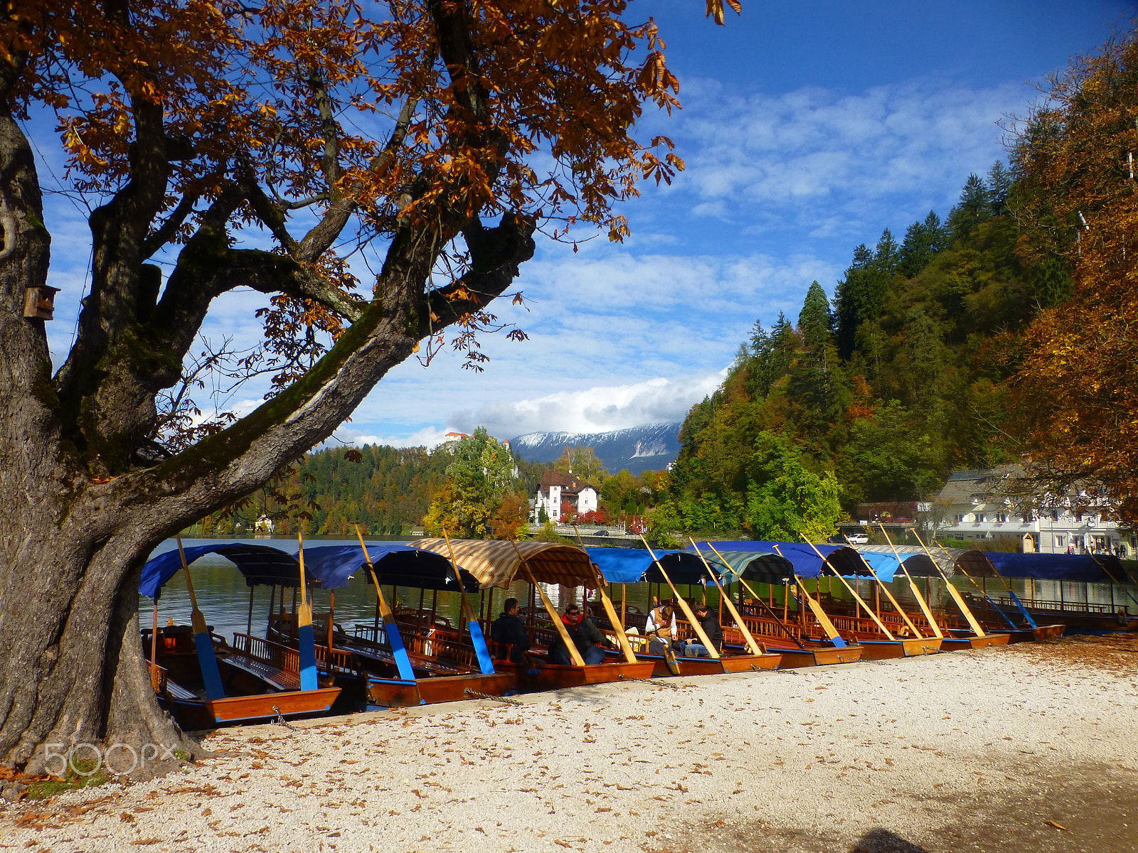 Panasonic DMC-TZ31 sample photo. Lake bled pletna boats photography