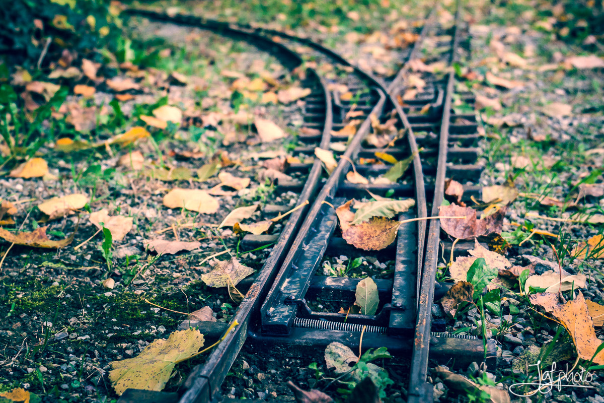 Canon EF 24-70mm F4L IS USM sample photo. Tiny train photography