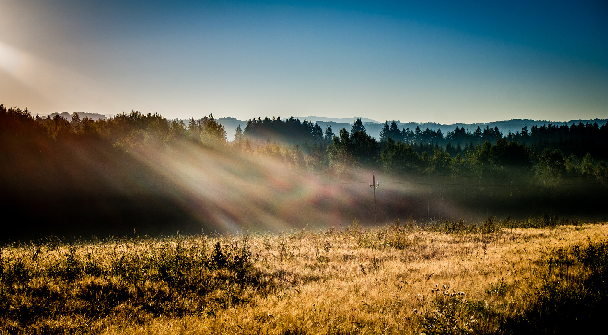 Samsung NX30 + Samsung NX 50-200mm F4-5.6 ED OIS sample photo. Morning fog photography