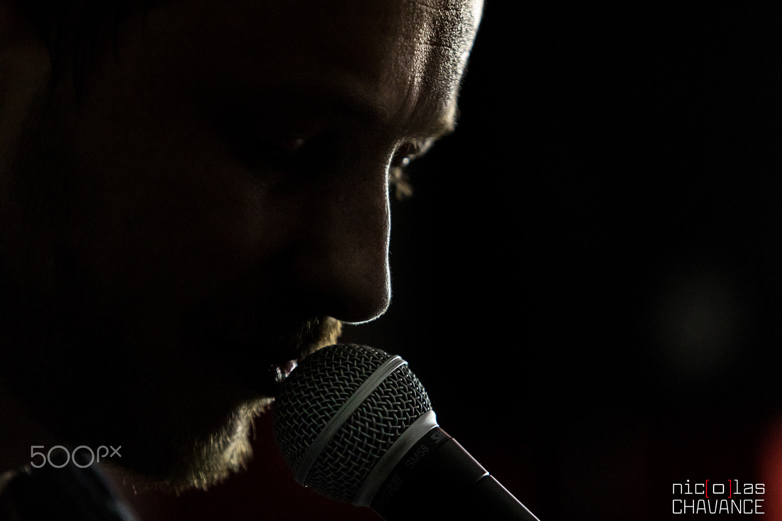 Canon EF 70-200mm F2.8L USM sample photo. Singer photography
