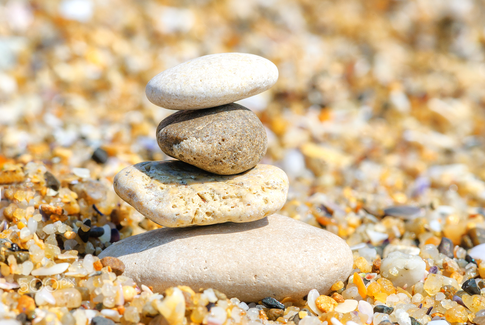Nikon AF-S Micro-Nikkor 105mm F2.8G IF-ED VR sample photo. Relaxation and meditation photography