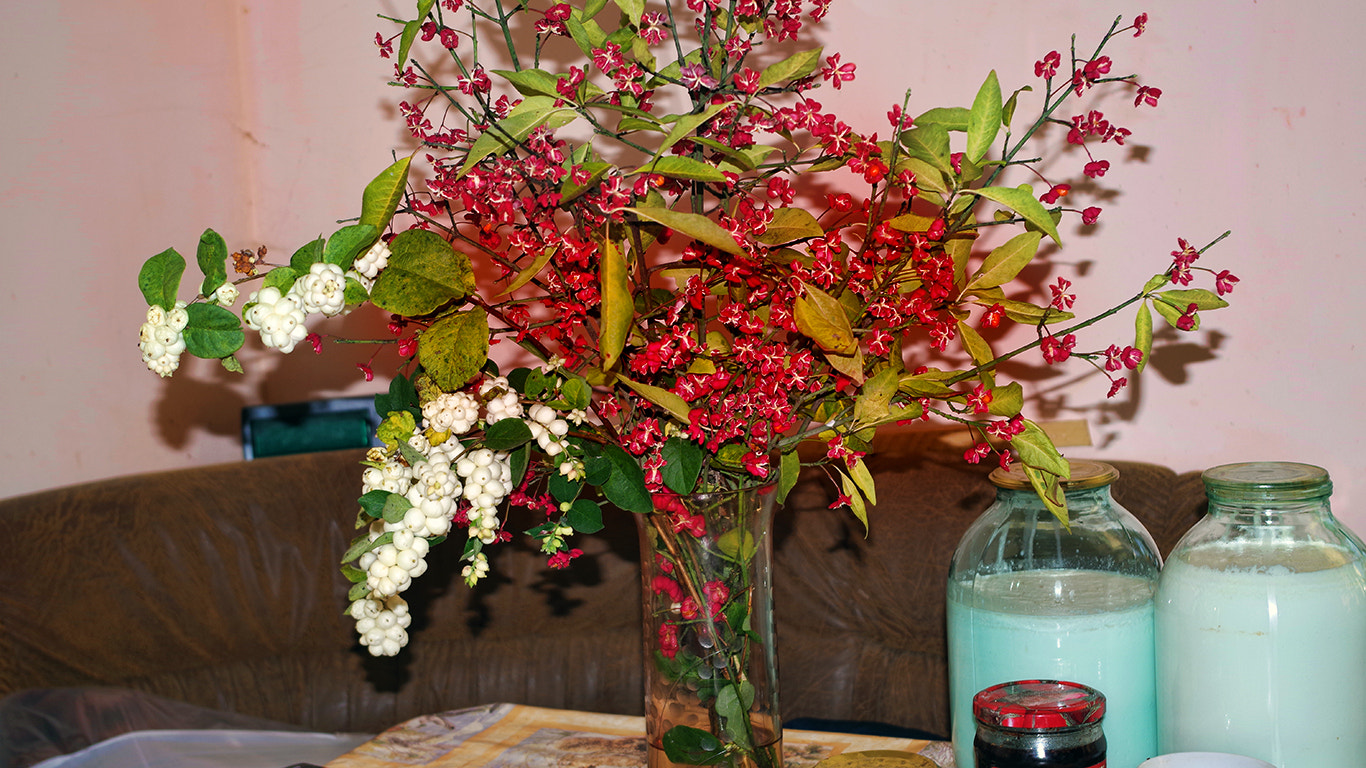 Pentax K-70 sample photo. октябрьский натюрморт photography