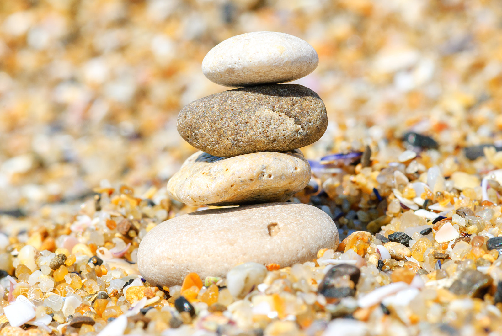 Nikon AF-S Micro-Nikkor 105mm F2.8G IF-ED VR sample photo. Relaxation and meditation photography