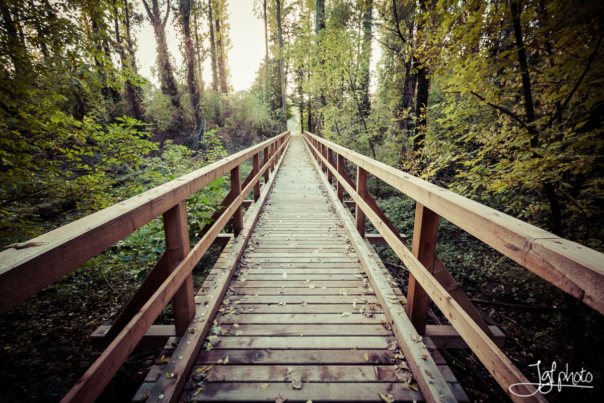 Canon EOS 50D sample photo. Autumn bridge photography