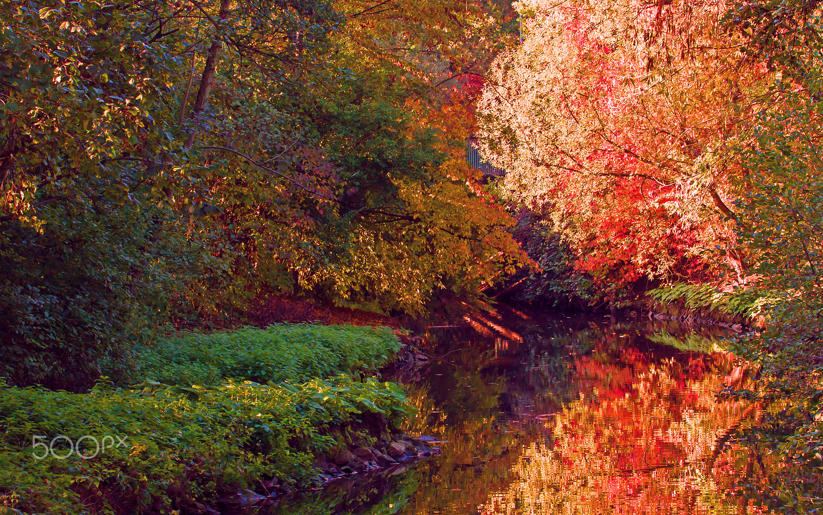 Canon EF 70-300mm F4-5.6L IS USM sample photo. On a lovely sunny october sunday... photography