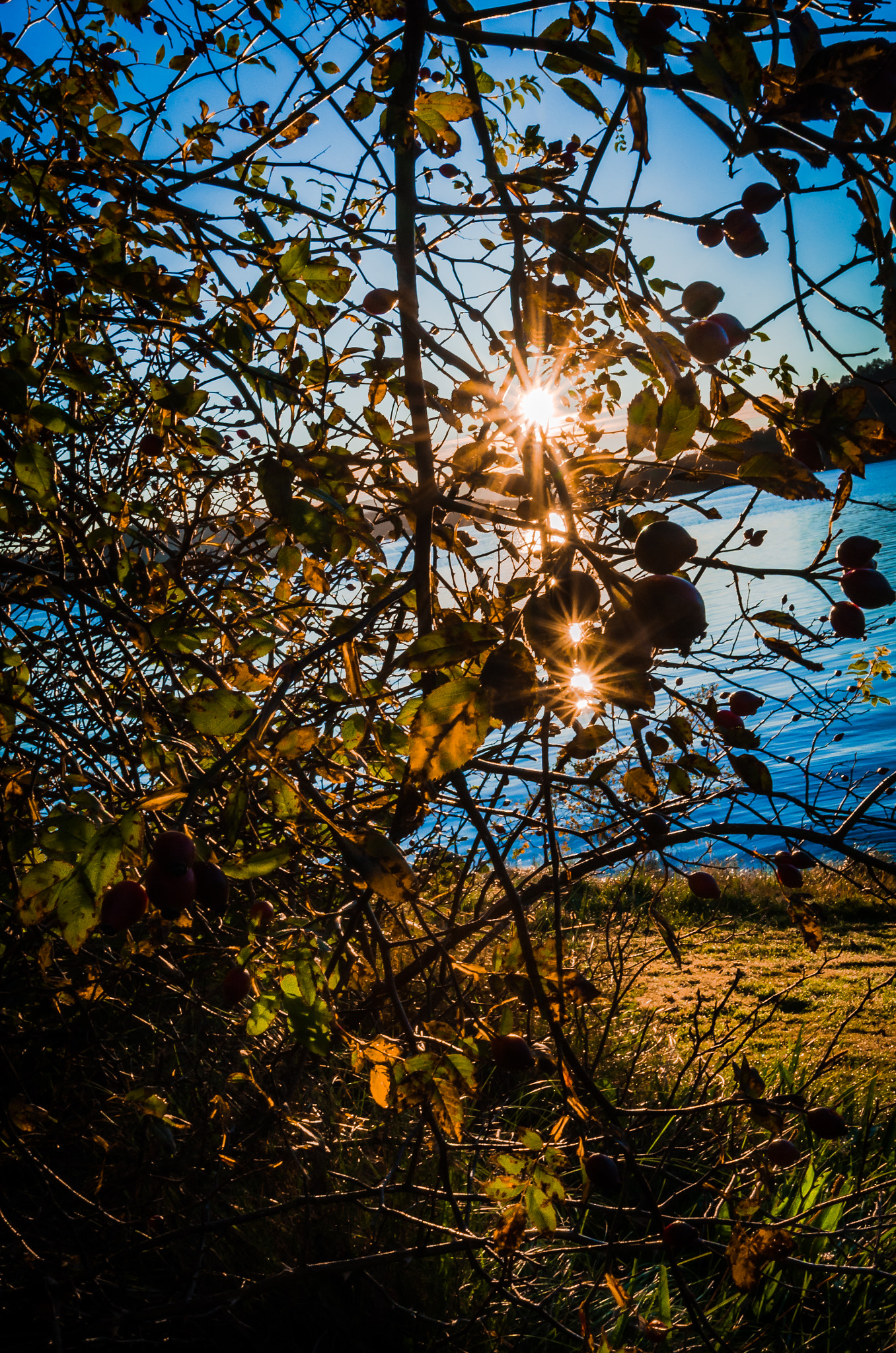 Nikon D5100 + Tamron SP AF 10-24mm F3.5-4.5 Di II LD Aspherical (IF) sample photo. Fading autumn ! photography