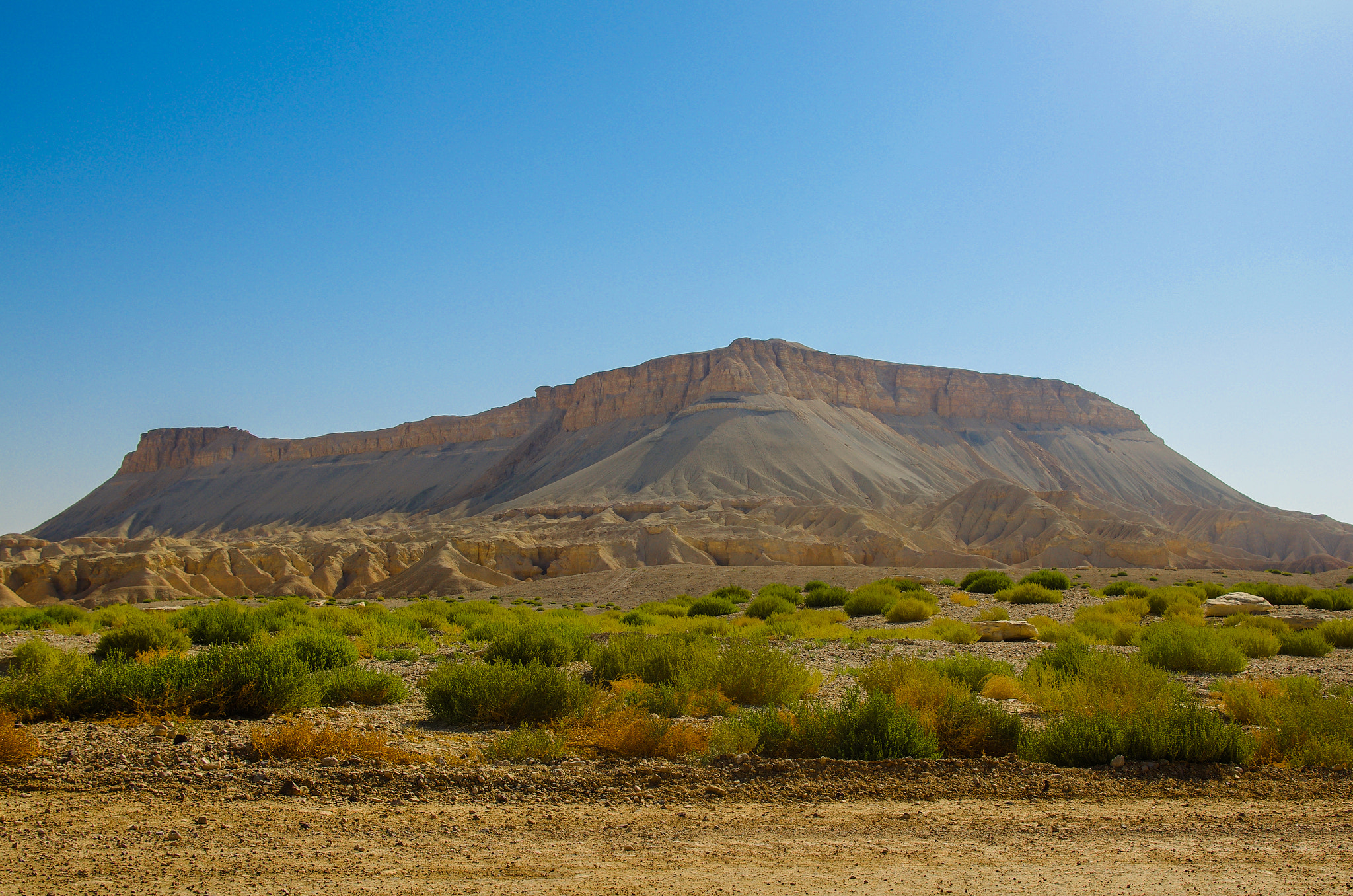 Pentax K-5 IIs sample photo. Green desert scene photography
