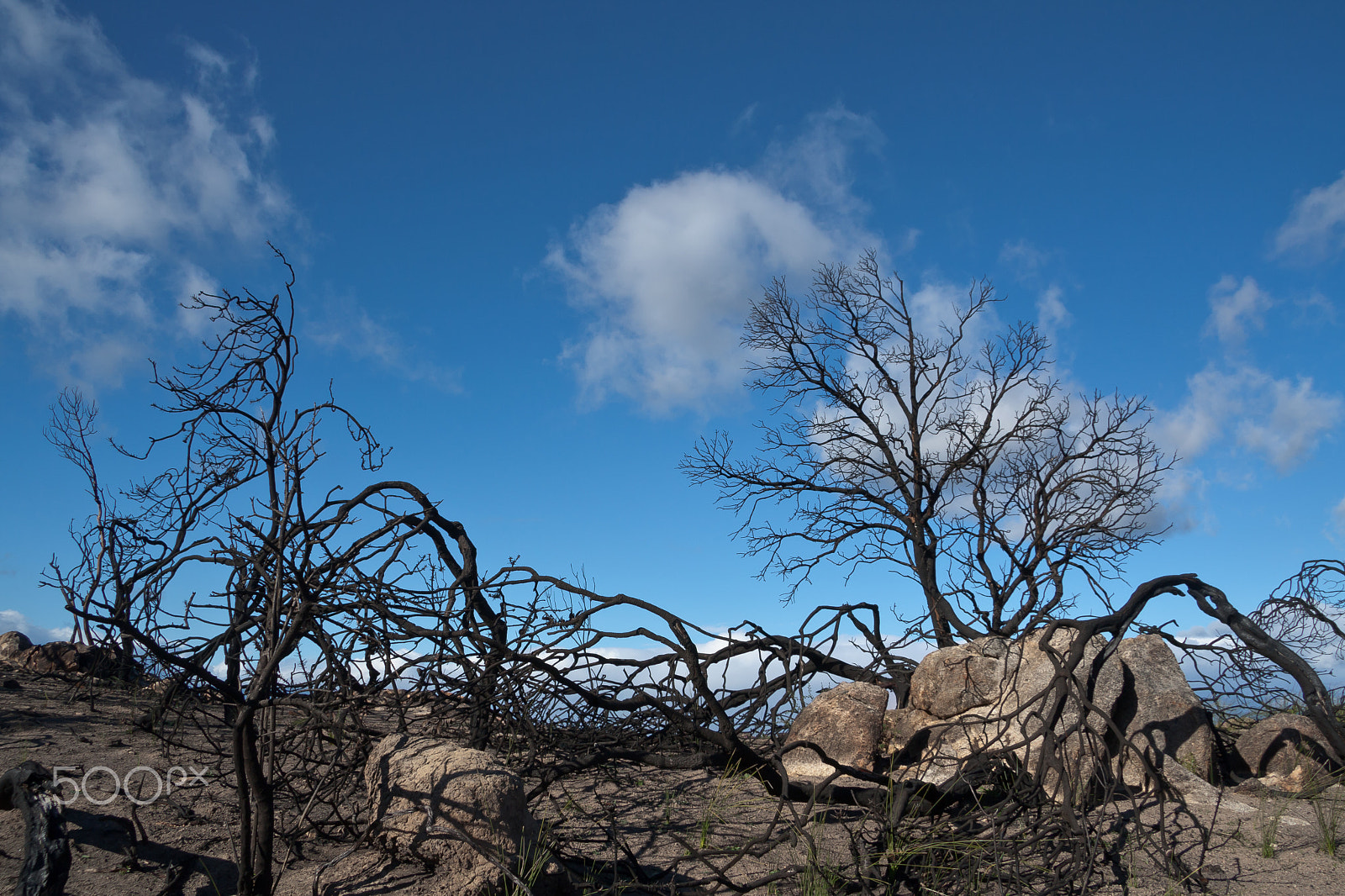 Canon EF-S 17-85mm F4-5.6 IS USM sample photo. Scorched earth - blue sky photography