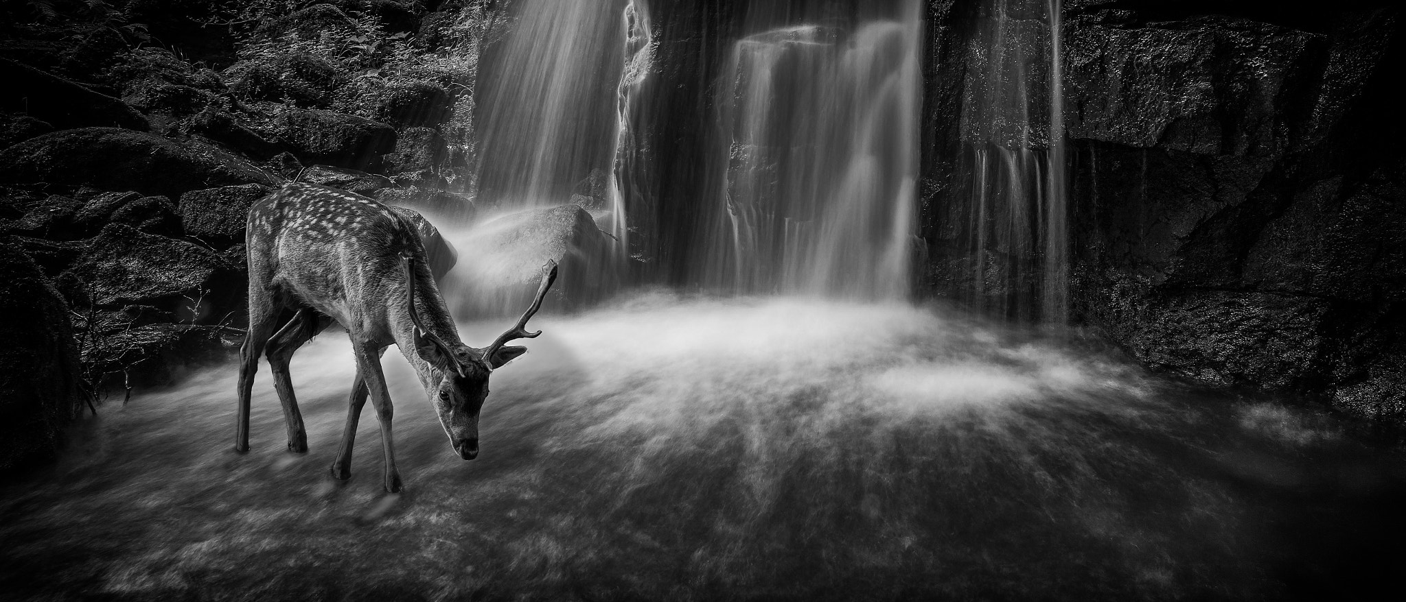 Canon EF 300mm F2.8L IS USM sample photo. Fallow falls 2 photography