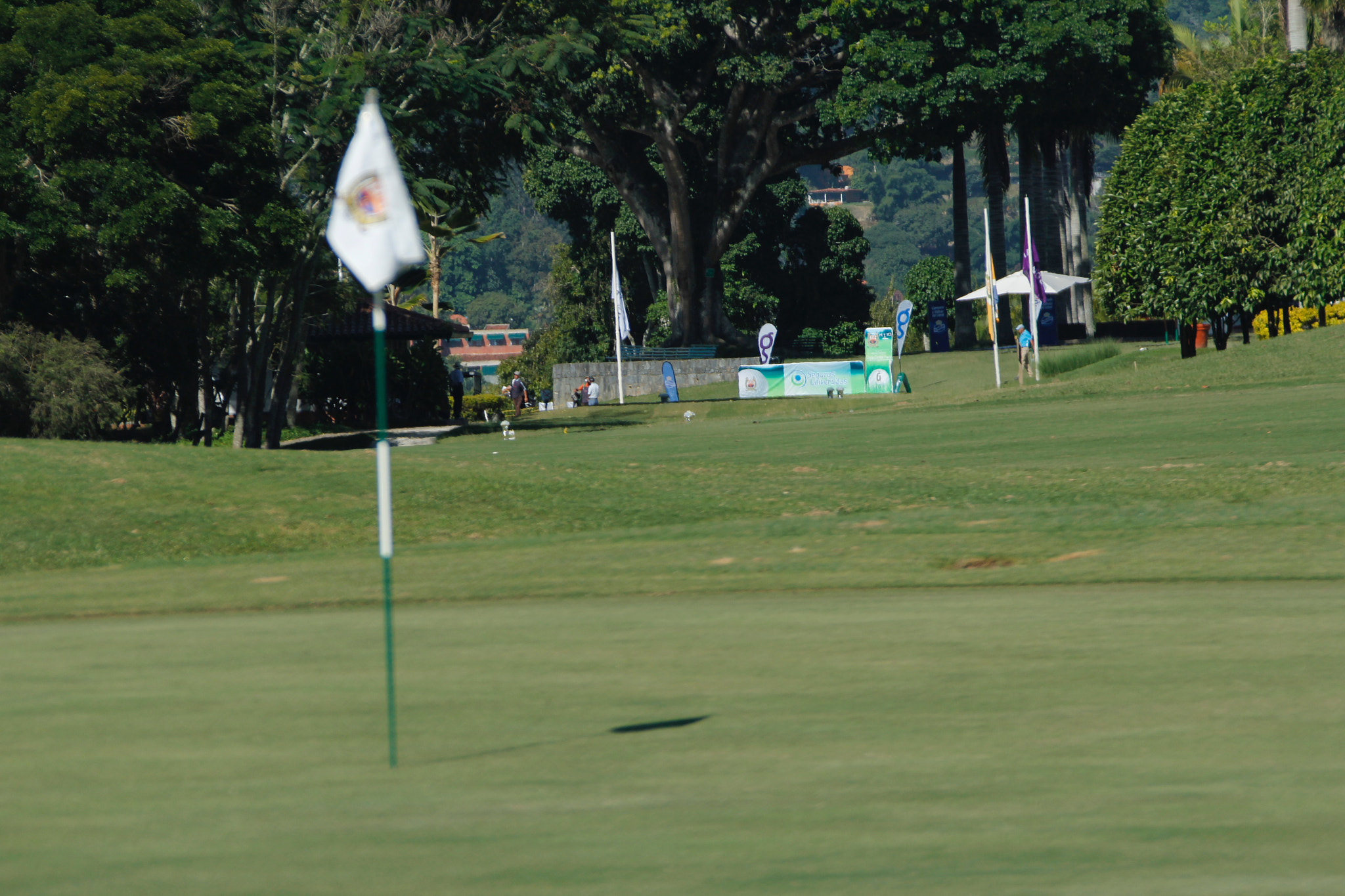 Canon EOS 60D + Canon EF 28-300mm F3.5-5.6L IS USM sample photo. Lagunita country club photography