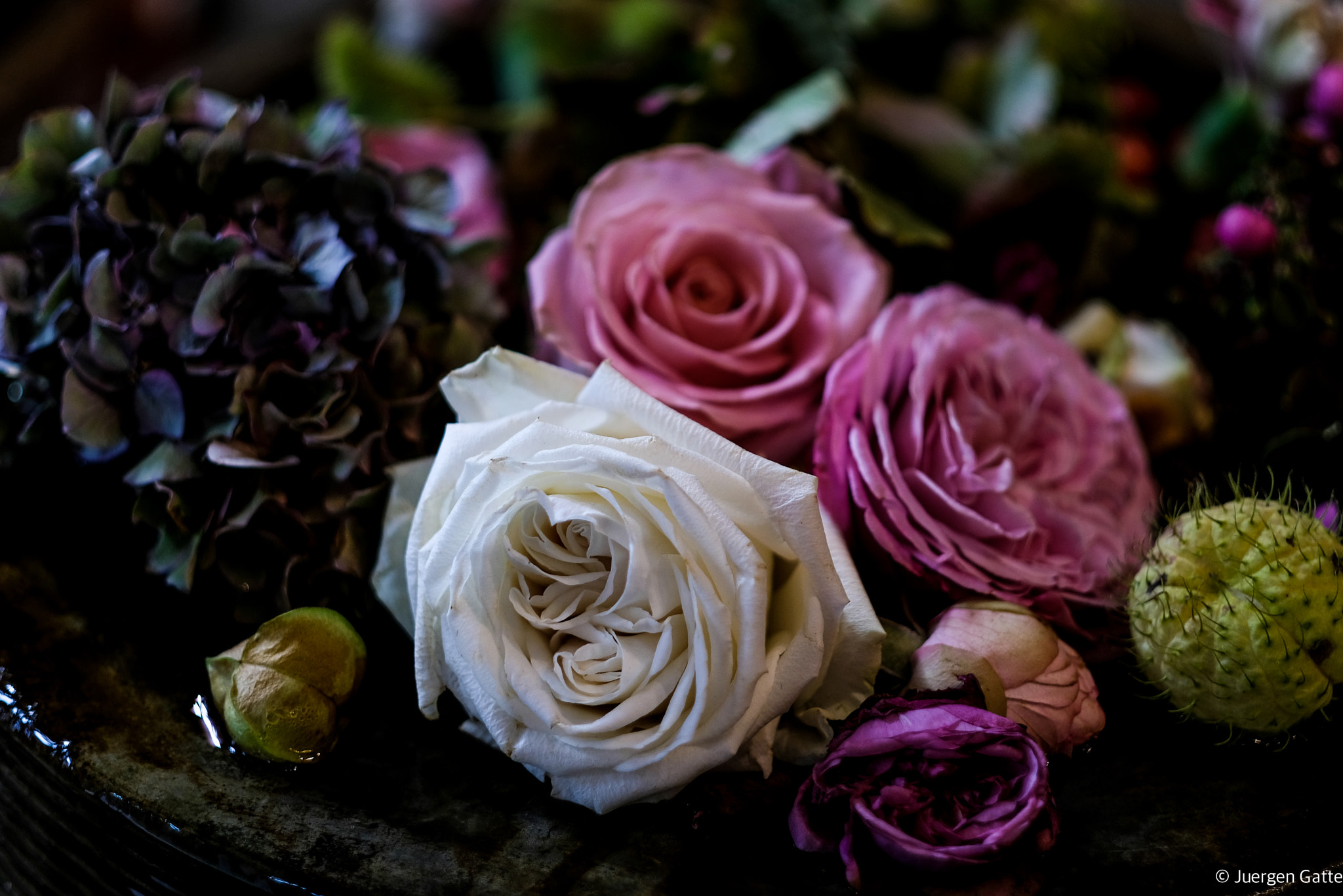 Fujifilm X-T2 + Fujifilm XF 56mm F1.2 R APD sample photo. Im blumenladen... photography