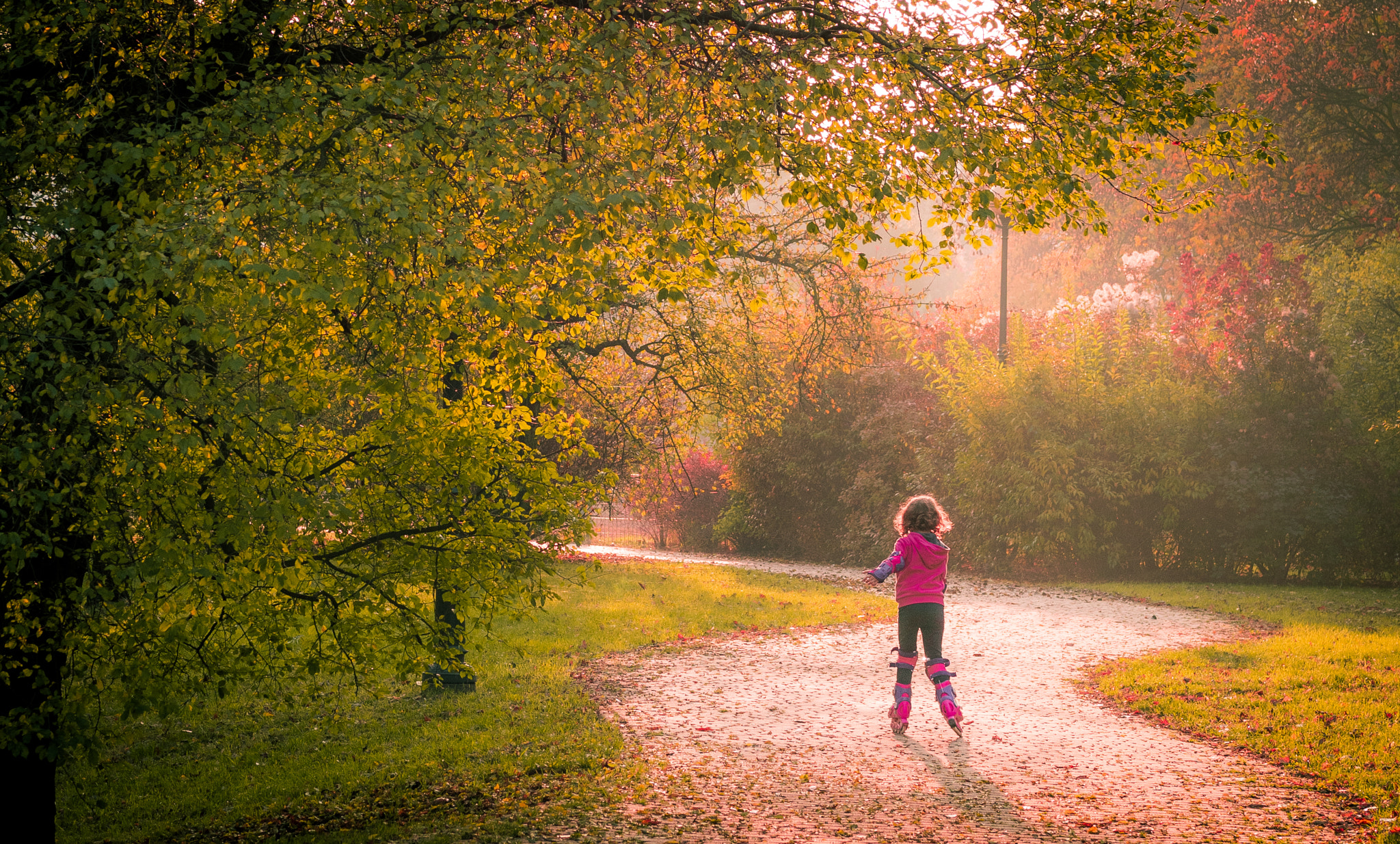 Panasonic Lumix G 42.5mm F1.7 ASPH Power OIS sample photo. Autumn 2 photography