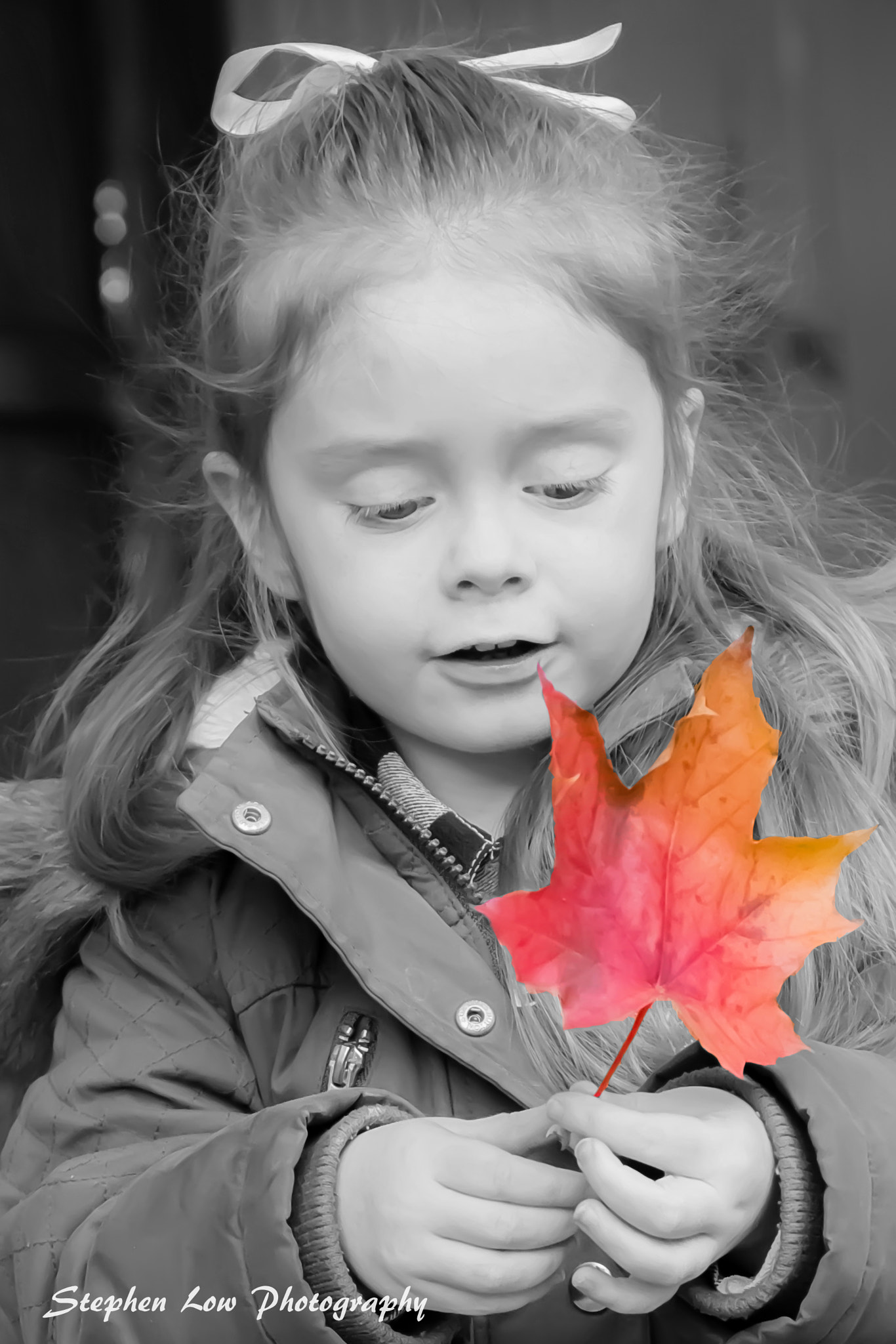 Nikon D7100 + Sigma 50mm F2.8 EX DG Macro sample photo. Autumn leaf photography