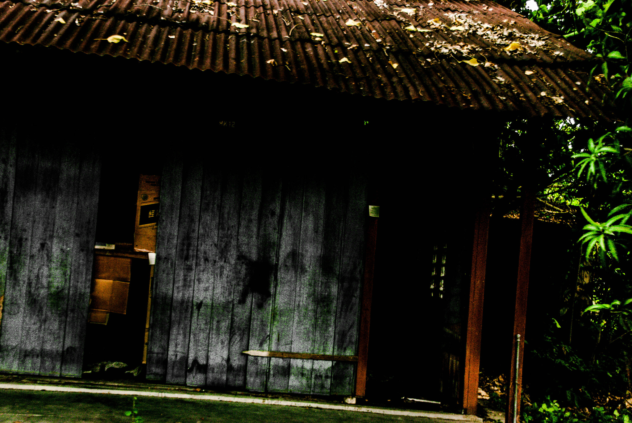 Nikon D3000 sample photo. Hounted photography