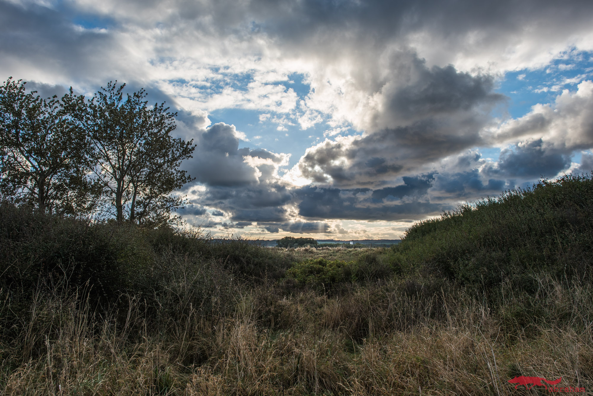 Nikon D750 + Nikon AF-S Nikkor 24mm F1.4G ED sample photo. Lippe photography