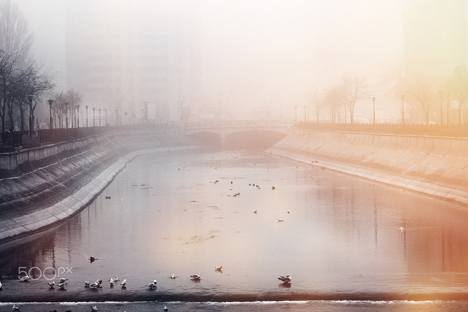 Canon EF 75-300mm f/4-5.6 USM sample photo. Foggy river photography
