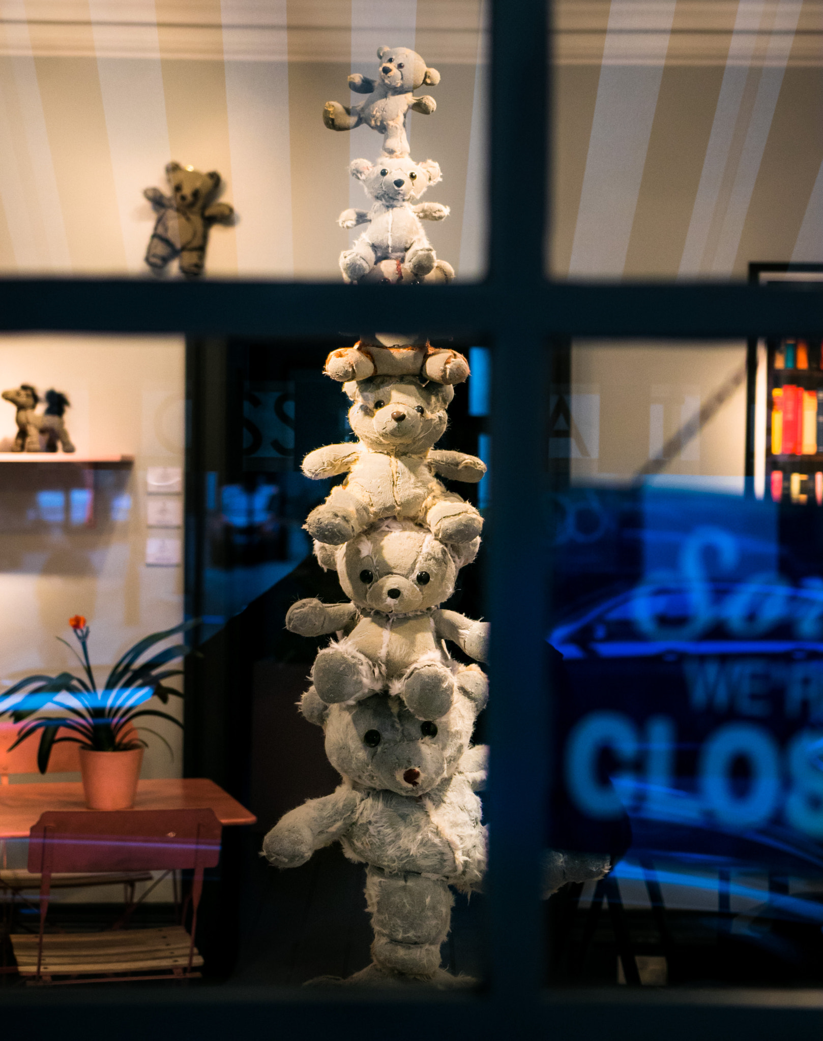 Sigma 18-35mm f/1.8 DC HSM sample photo. Concrete bears photography