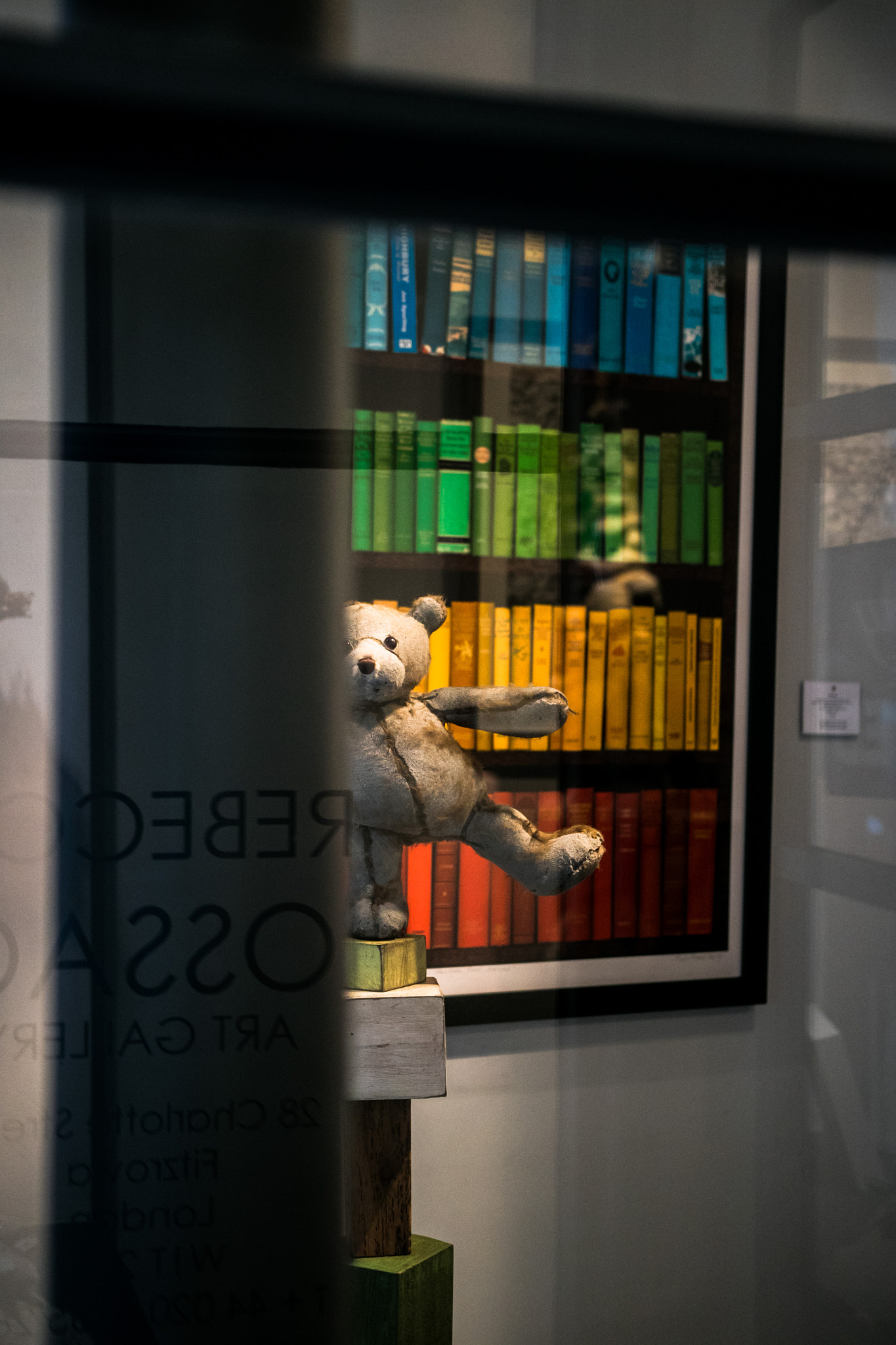 Sigma 18-35mm f/1.8 DC HSM sample photo. Teddy photography