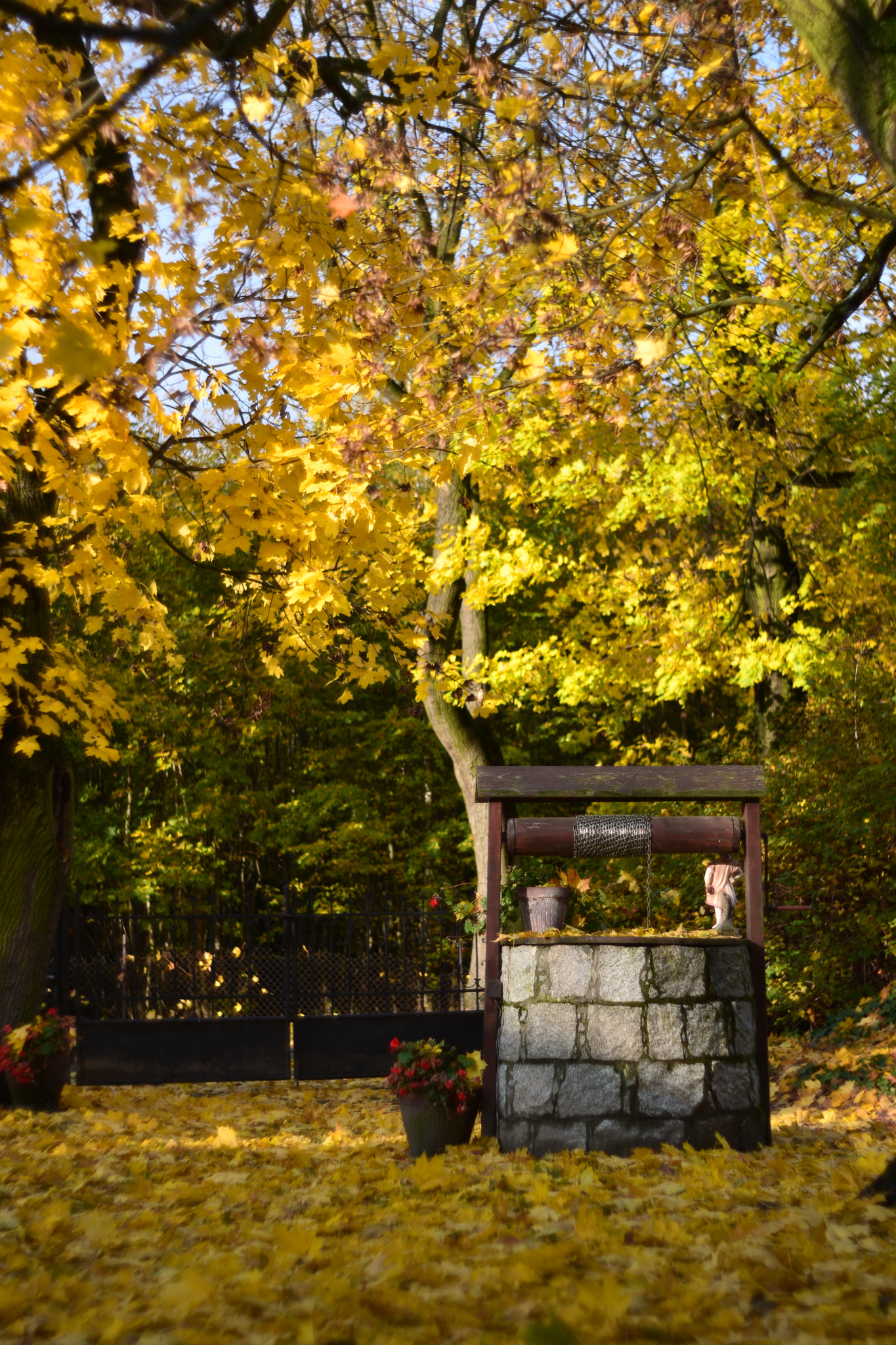 Manual Lens No CPU sample photo. Autuumn  photography